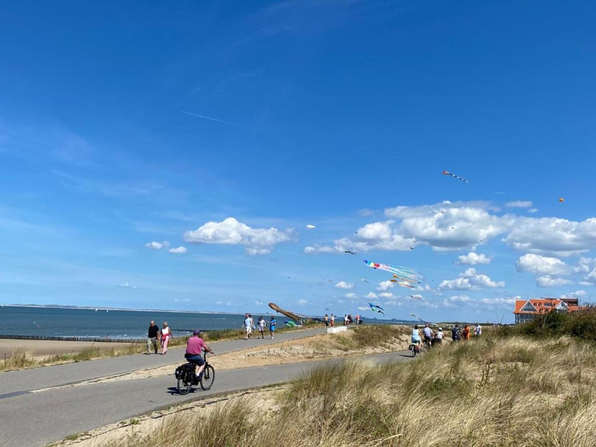 Het Platte Putje nr 2: Knus appartement met tuin, 3,6km van strand, huisdieren welkom - foto 24