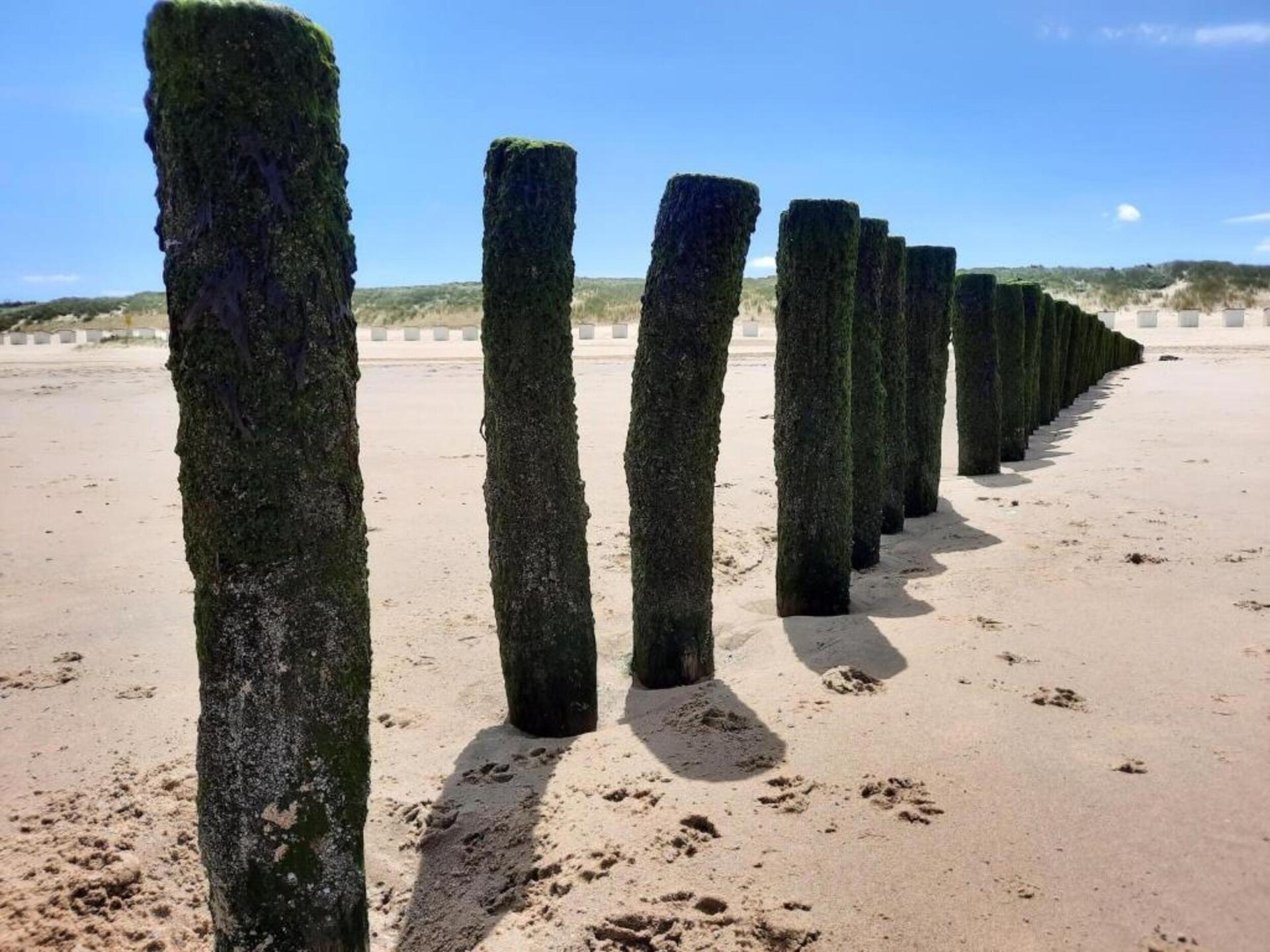 Het Platte Putje nr 2: Knus appartement met tuin, 3,6km van strand, huisdieren welkom - foto 22