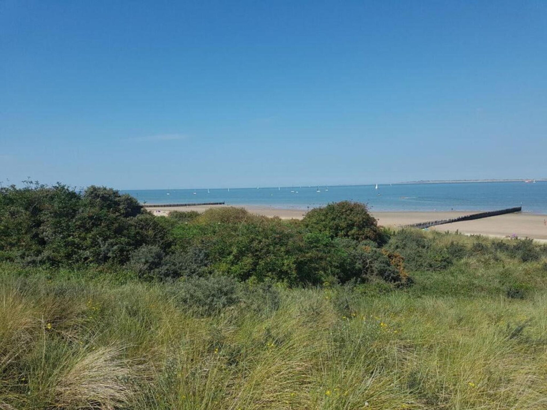 Het Platte Putje nr 2: Knus appartement met tuin, 3,6km van strand, huisdieren welkom - foto 26