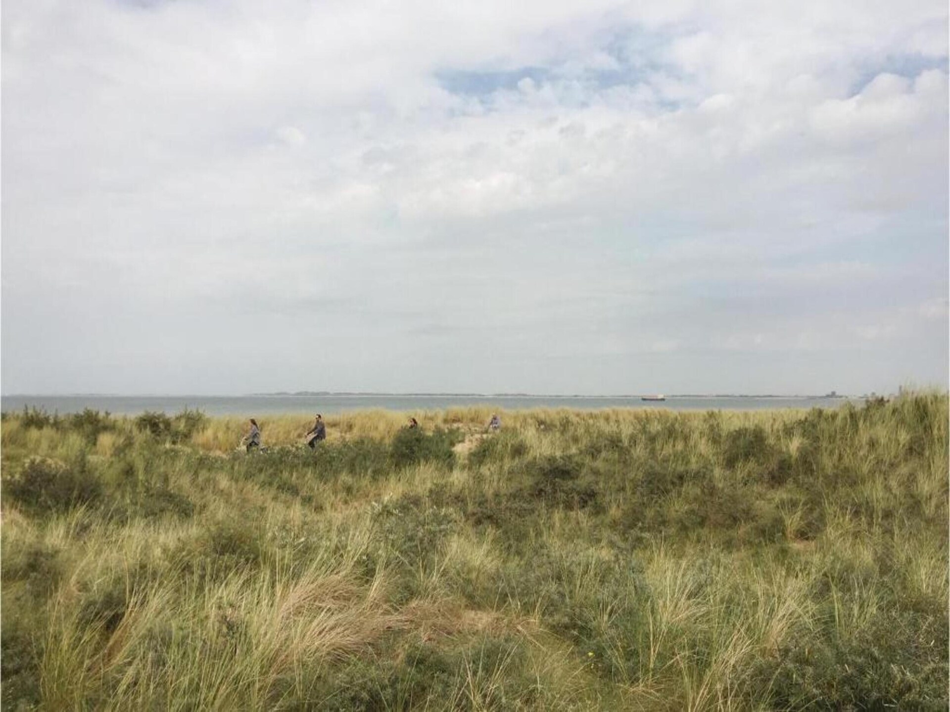 Het Platte Putje nr 2: Knus appartement met tuin, 3,6km van strand, huisdieren welkom - foto 29