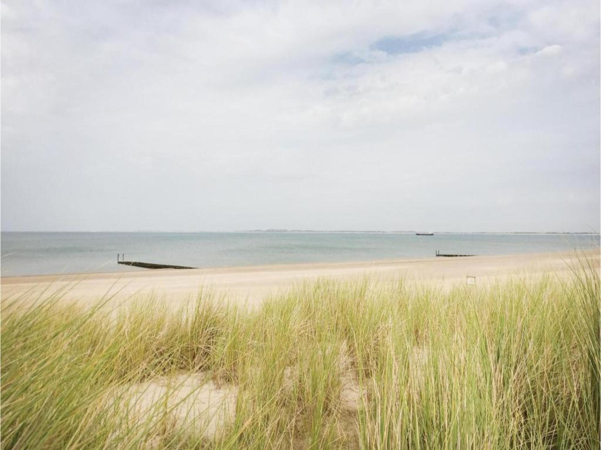 Het Platte Putje nr 2: Knus appartement met tuin, 3,6km van strand, huisdieren welkom - foto 31