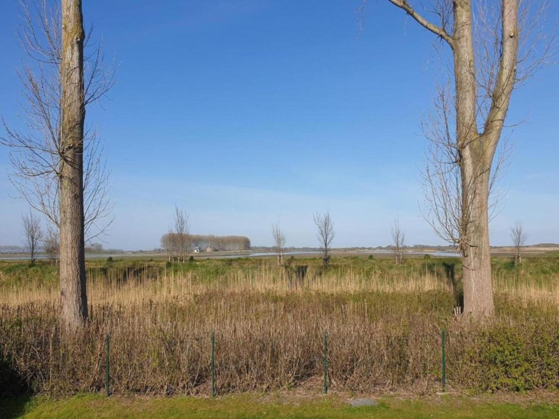Het Platte Putje nr 2: Knus appartement met tuin, 3,6km van strand, huisdieren welkom - foto 15