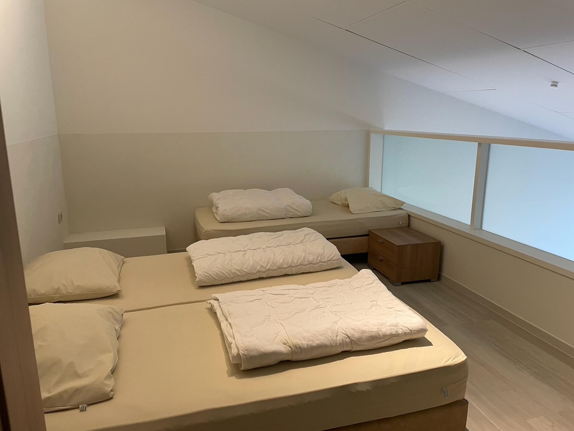 Het Platte Putje nr 2: Knus appartement met tuin, 3,6km van strand, huisdieren welkom - foto 6