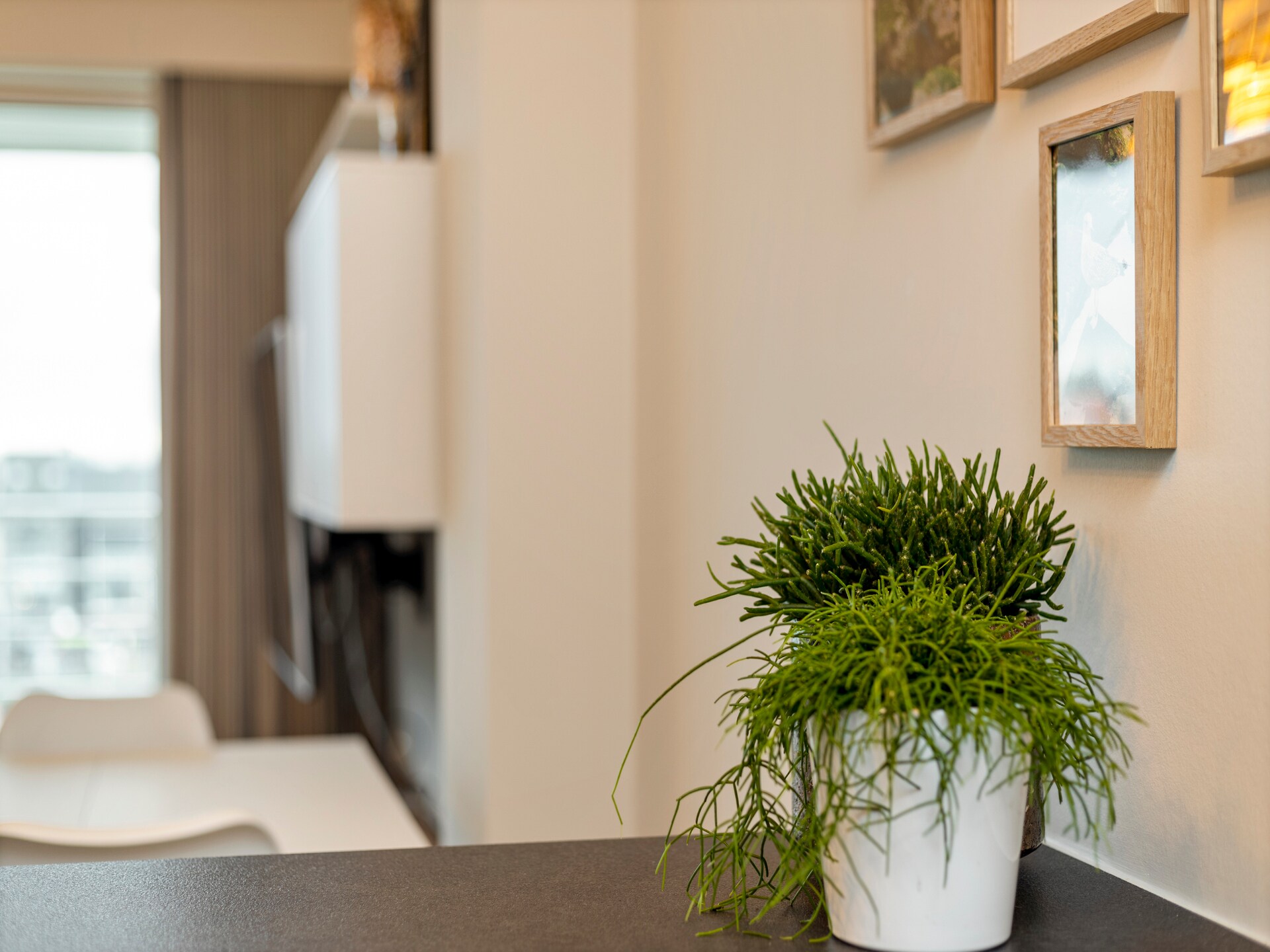 Prachtig gerenoveerd appartement met zonnig terras nabij jachthaven Blankenberge - foto 38