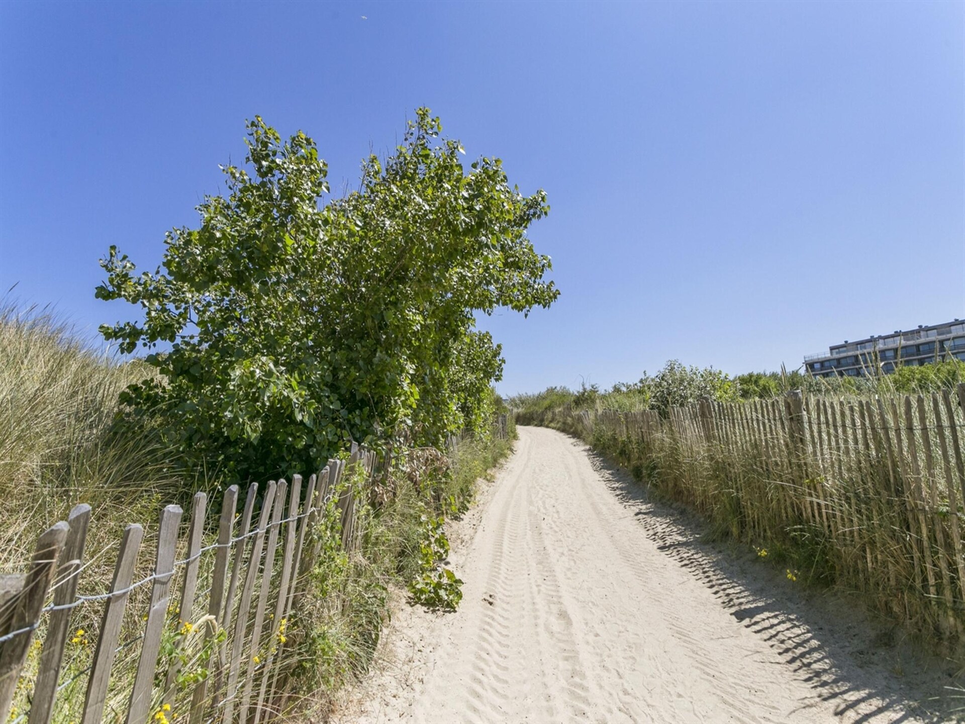 Frontaal zeezicht in Blankenberge: appartement voor 5 op 1e verdieping - foto 39