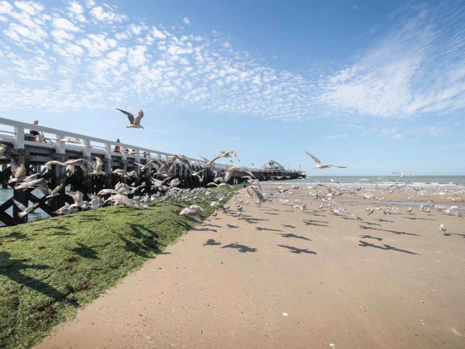 Gerenoveerd 4-persoons appartement met privéterras in Blankenberge - foto 30