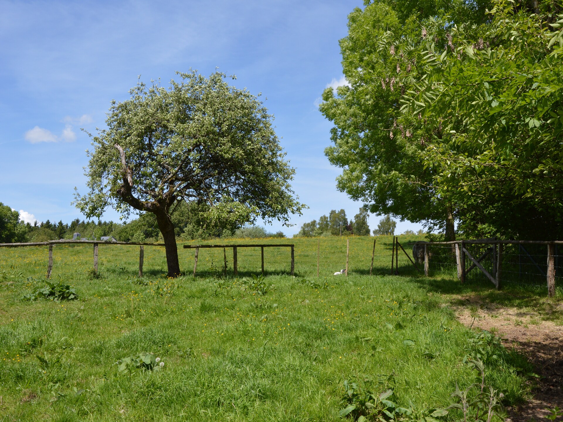 Ruim vakantiehuis Pre Lamborelle in Ferrières voor 9 personen - foto 22