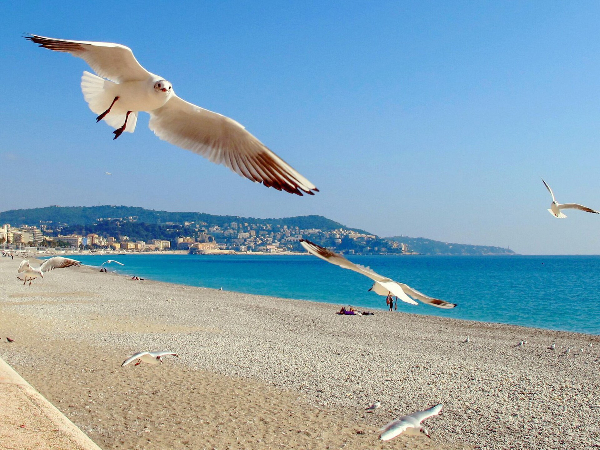 Gerenoveerd appartement op 100 meter van het strand met ruim terras in Nice - foto 5
