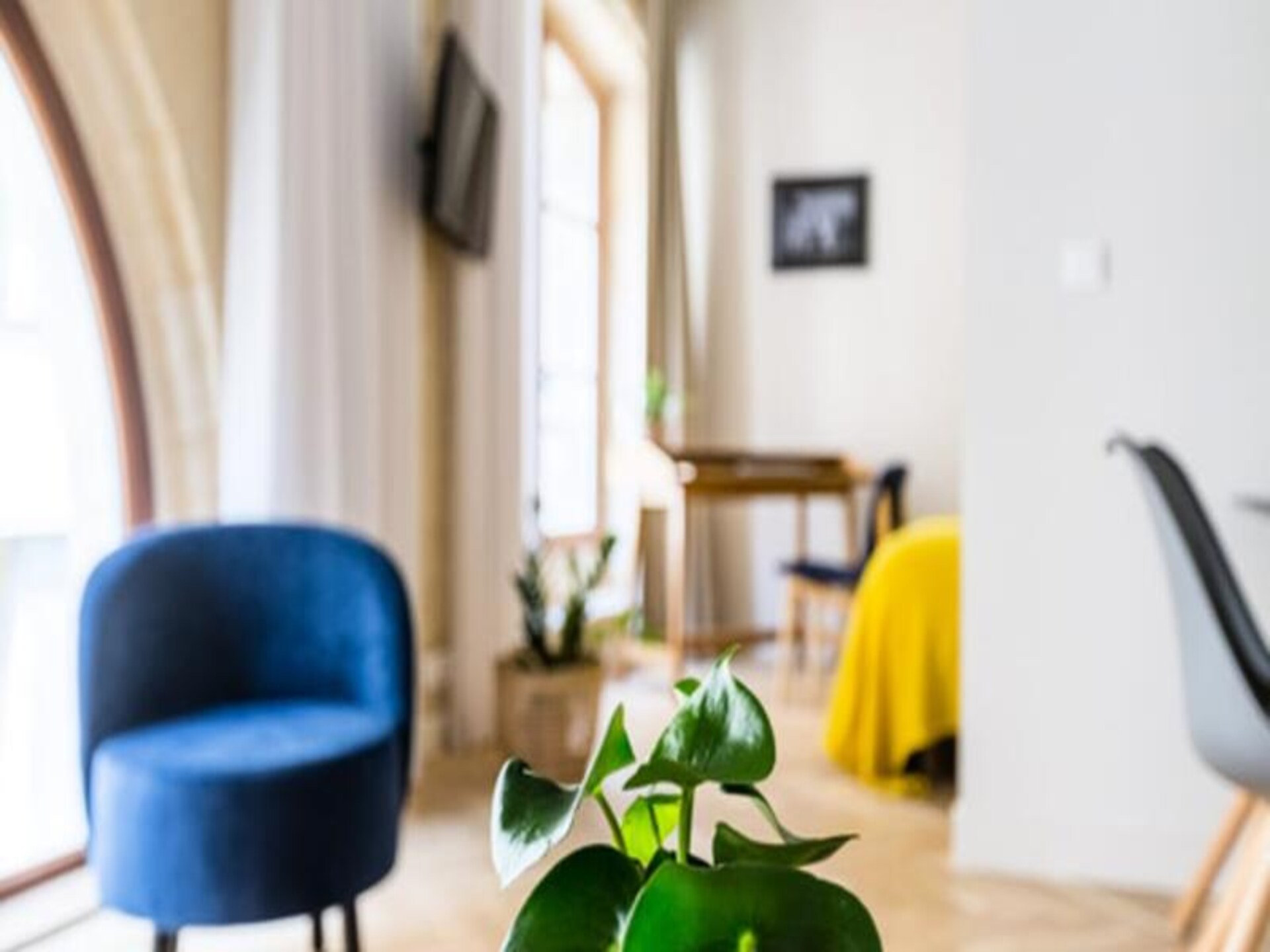 Licht appartement voor 4 personen in hartje Bordeaux, 37m² - foto 22
