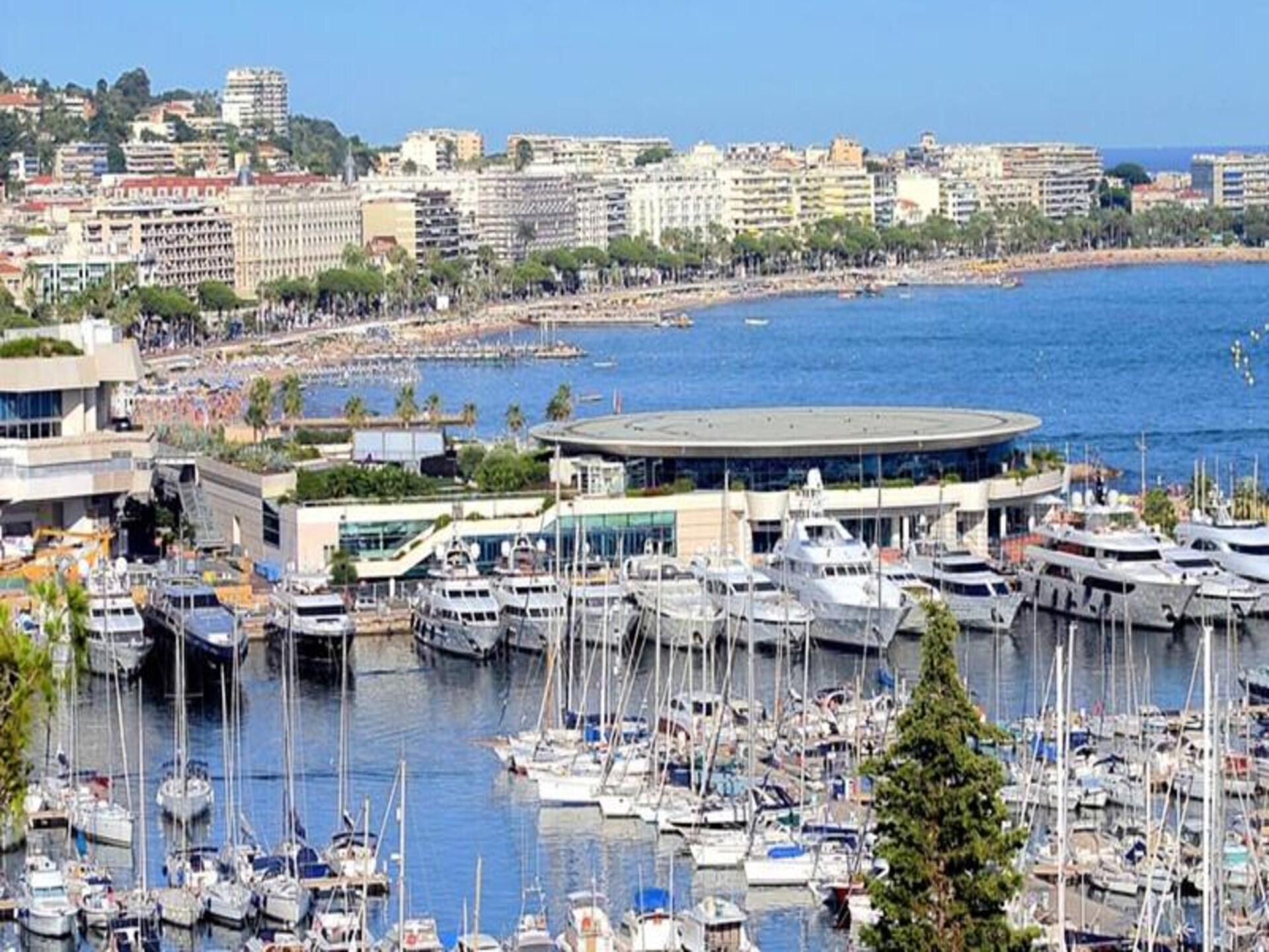 Design studio op 5 minuten van de Croisette in hartje Cannes - foto 14