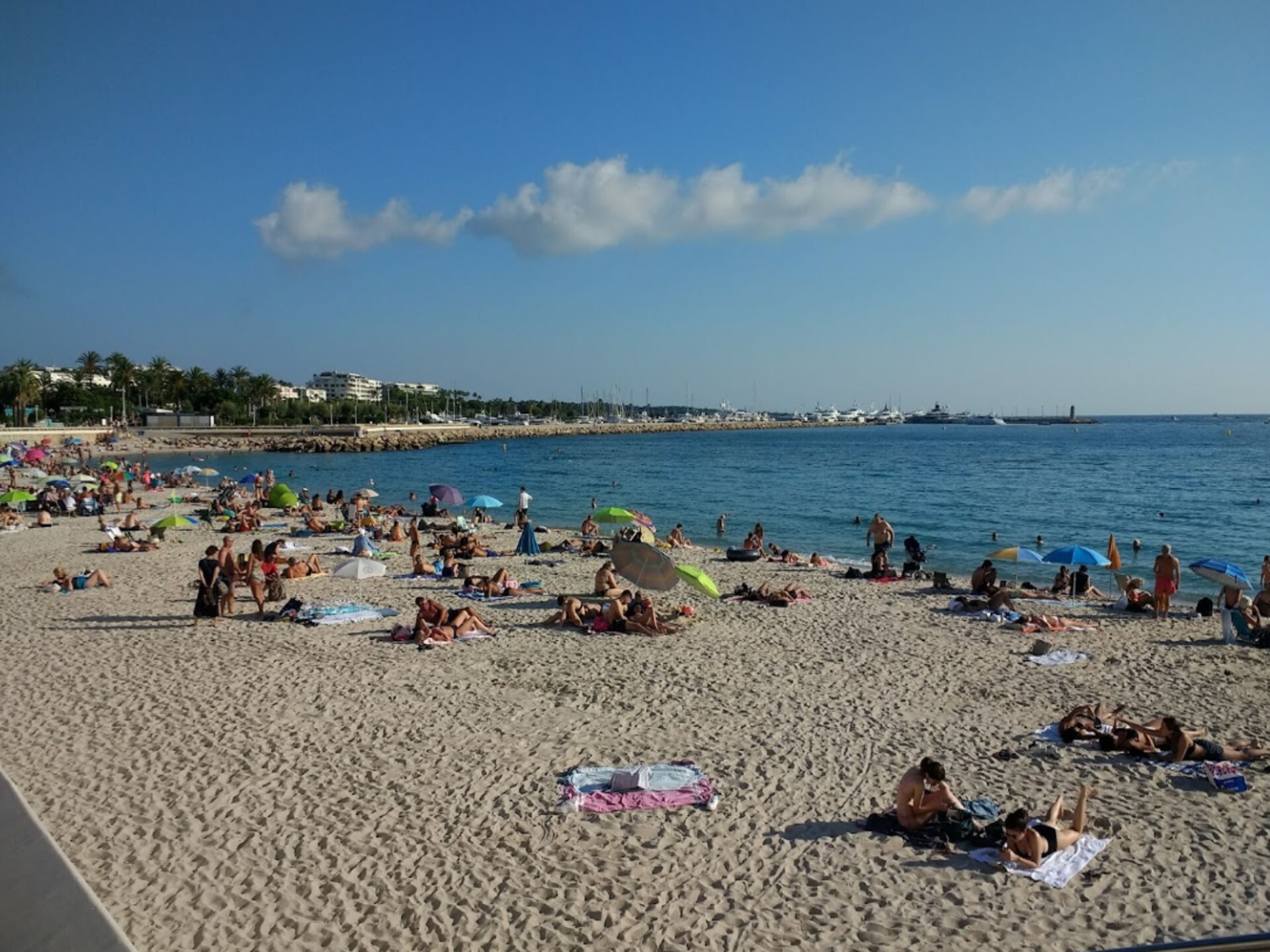Licht appartement in Cannes met uitzicht op park, vlakbij de Croisette - foto 39