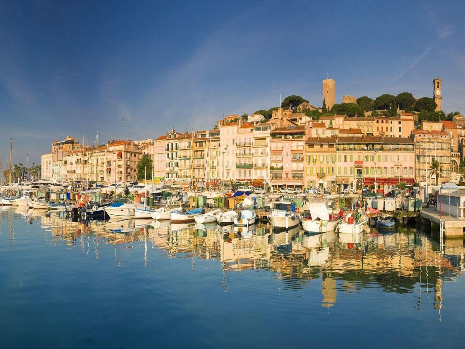 Résidence Cannes Verrerie - Gezellig appartement met zwembad, 100m van zee - foto 30