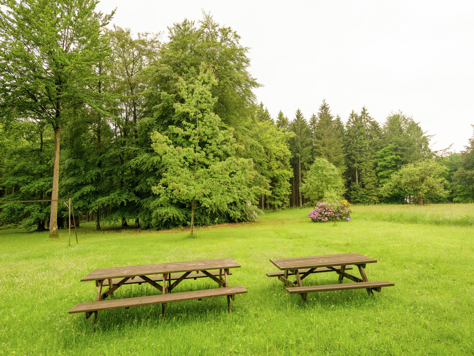 Red Hazels: Ruim vakantiehuis voor 10 in de bossen bij Stavelot - foto 29