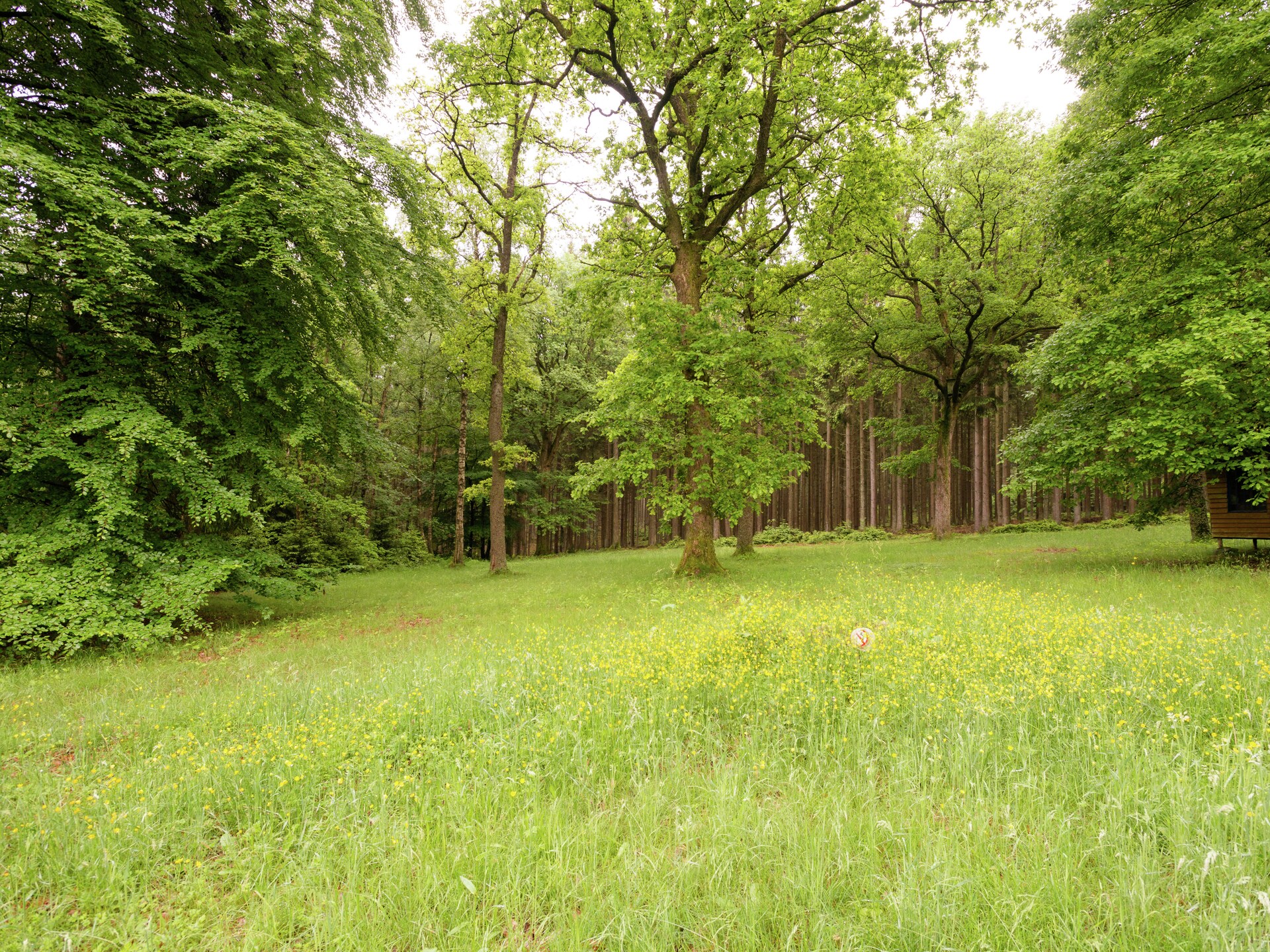 Red Hazels: Ruim vakantiehuis voor 10 in de bossen bij Stavelot - foto 24