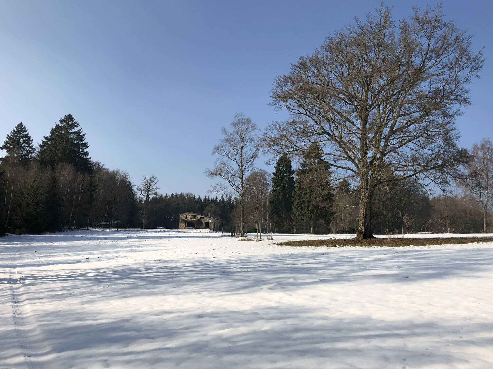 Red Hazels: Ruim vakantiehuis voor 10 in de bossen bij Stavelot - foto 33