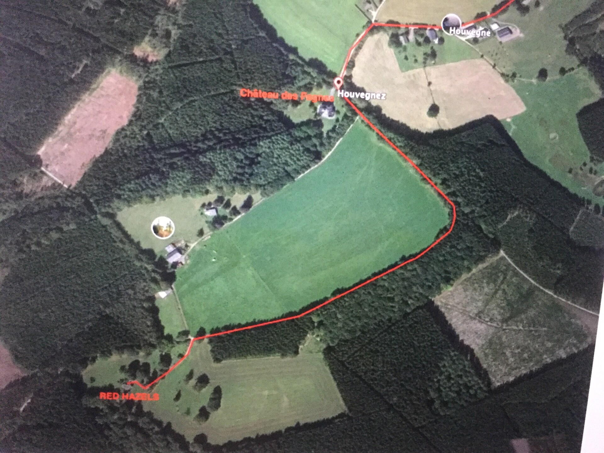 Red Hazels: Ruim vakantiehuis voor 10 in de bossen bij Stavelot - foto 30