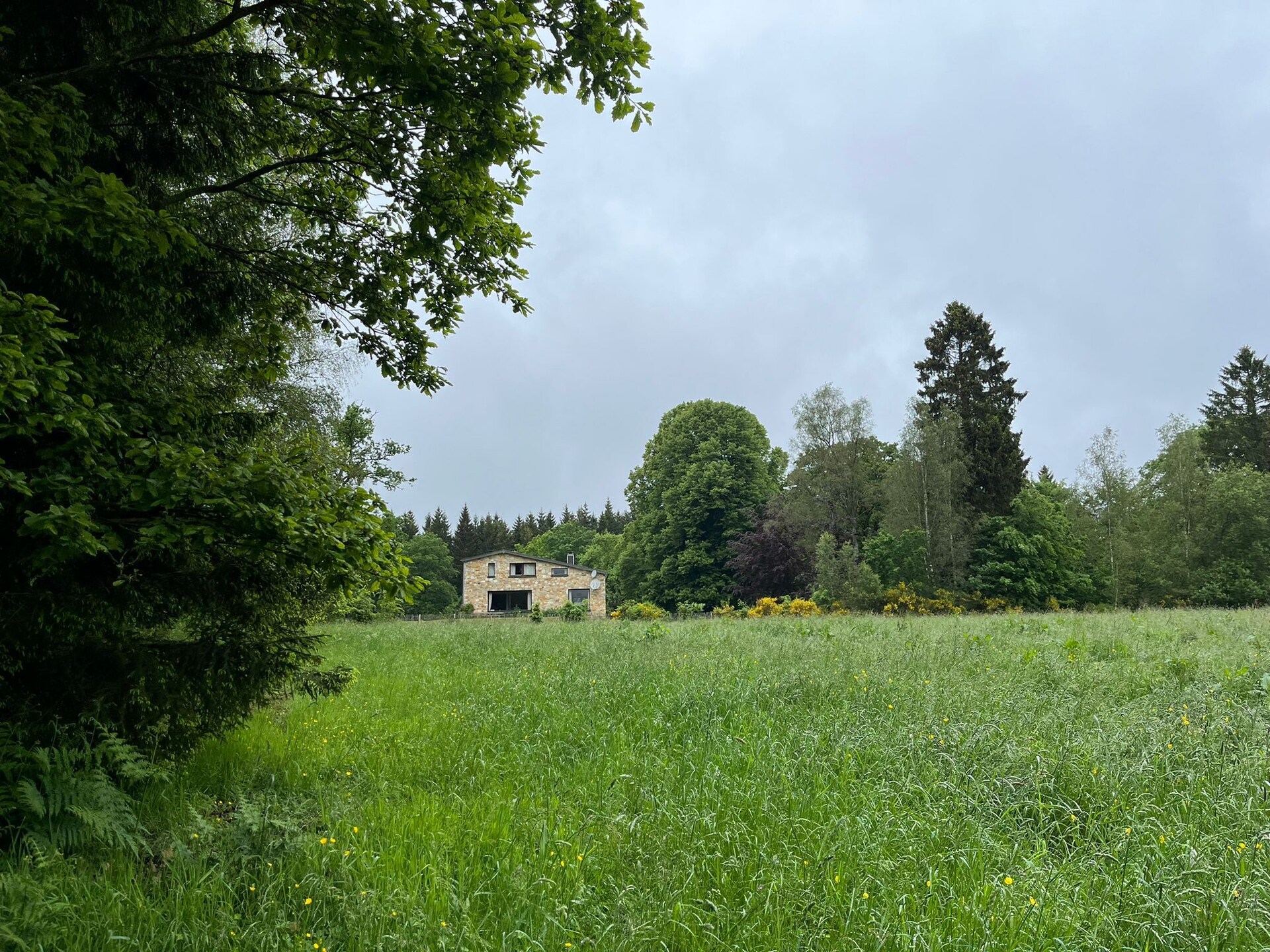 Red Hazels: Ruim vakantiehuis voor 10 in de bossen bij Stavelot - foto 31