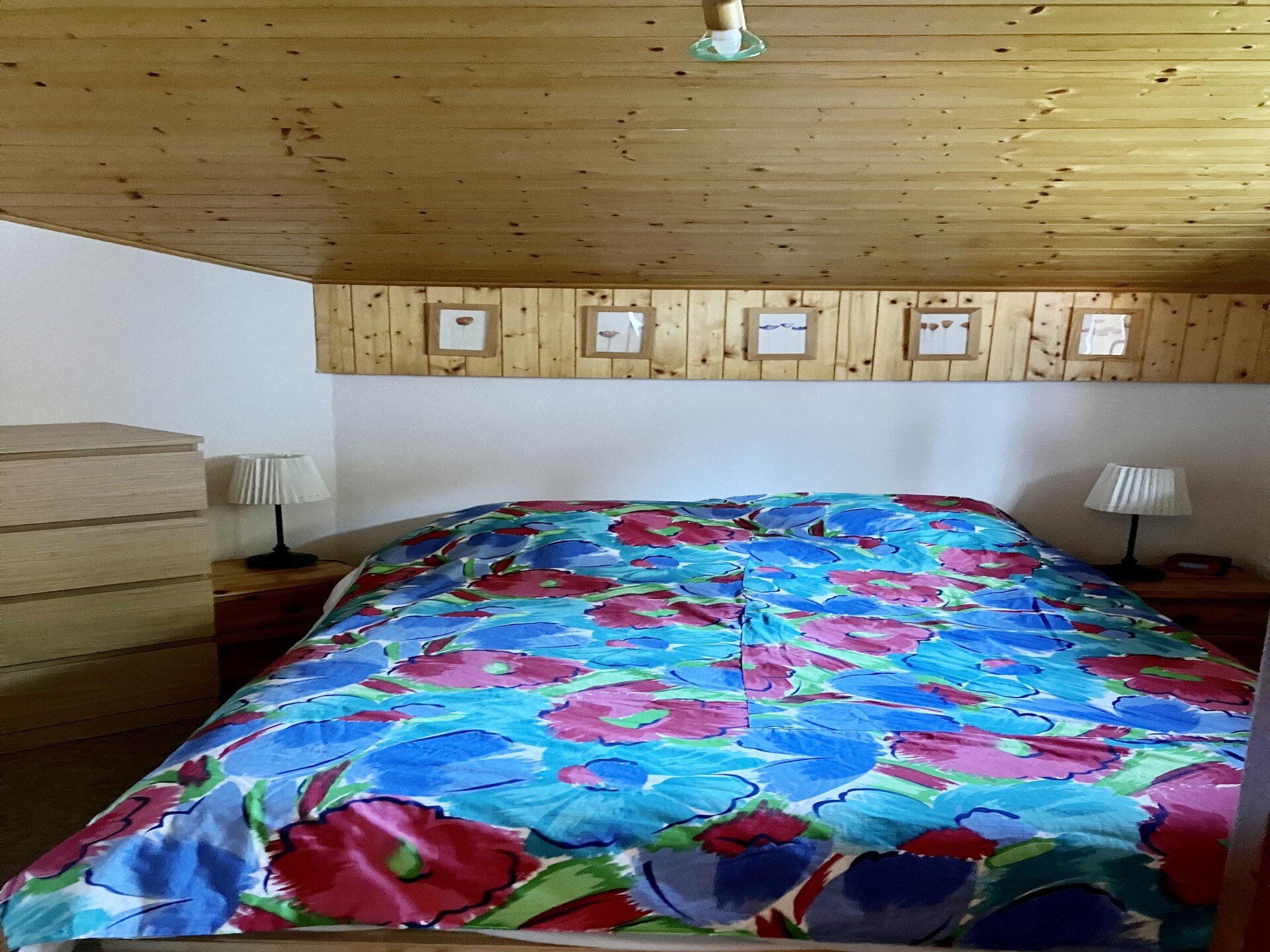 Forsythia FA29: Gezellig appartement voor 8 personen in Châtel, 1 km van de skilift - foto 4