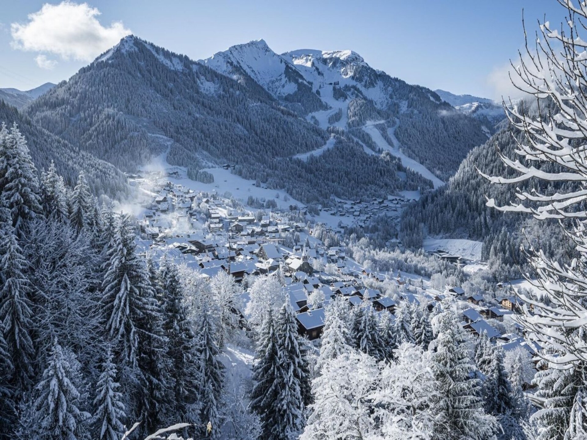 Op 300 m van de piste: Gezellig appartement in Châtel voor 4 personen (2) - foto 8