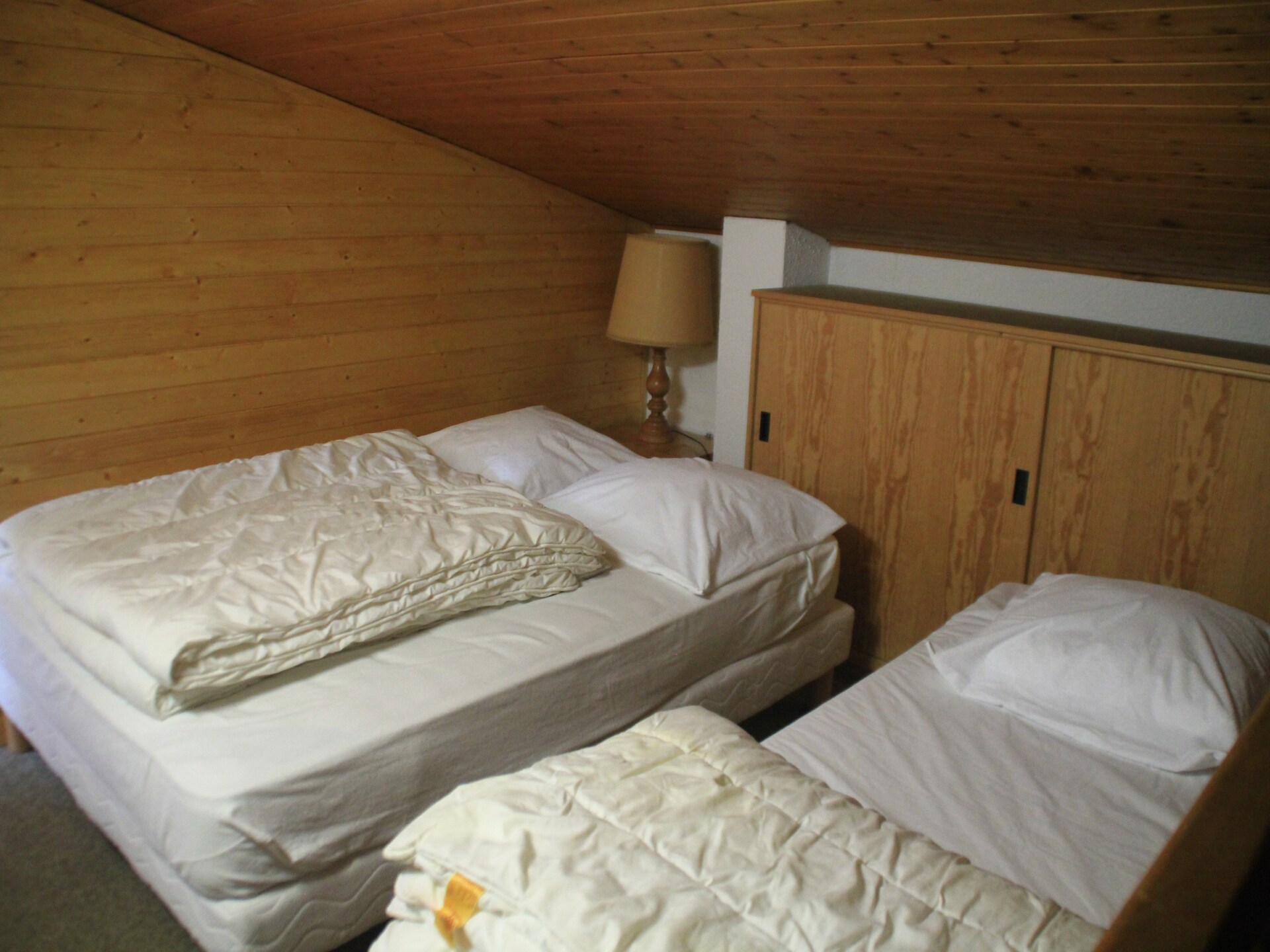Alpenlake AP117: Sfeervol appartement met meerzicht in Châtel voor 6 personen - foto 12