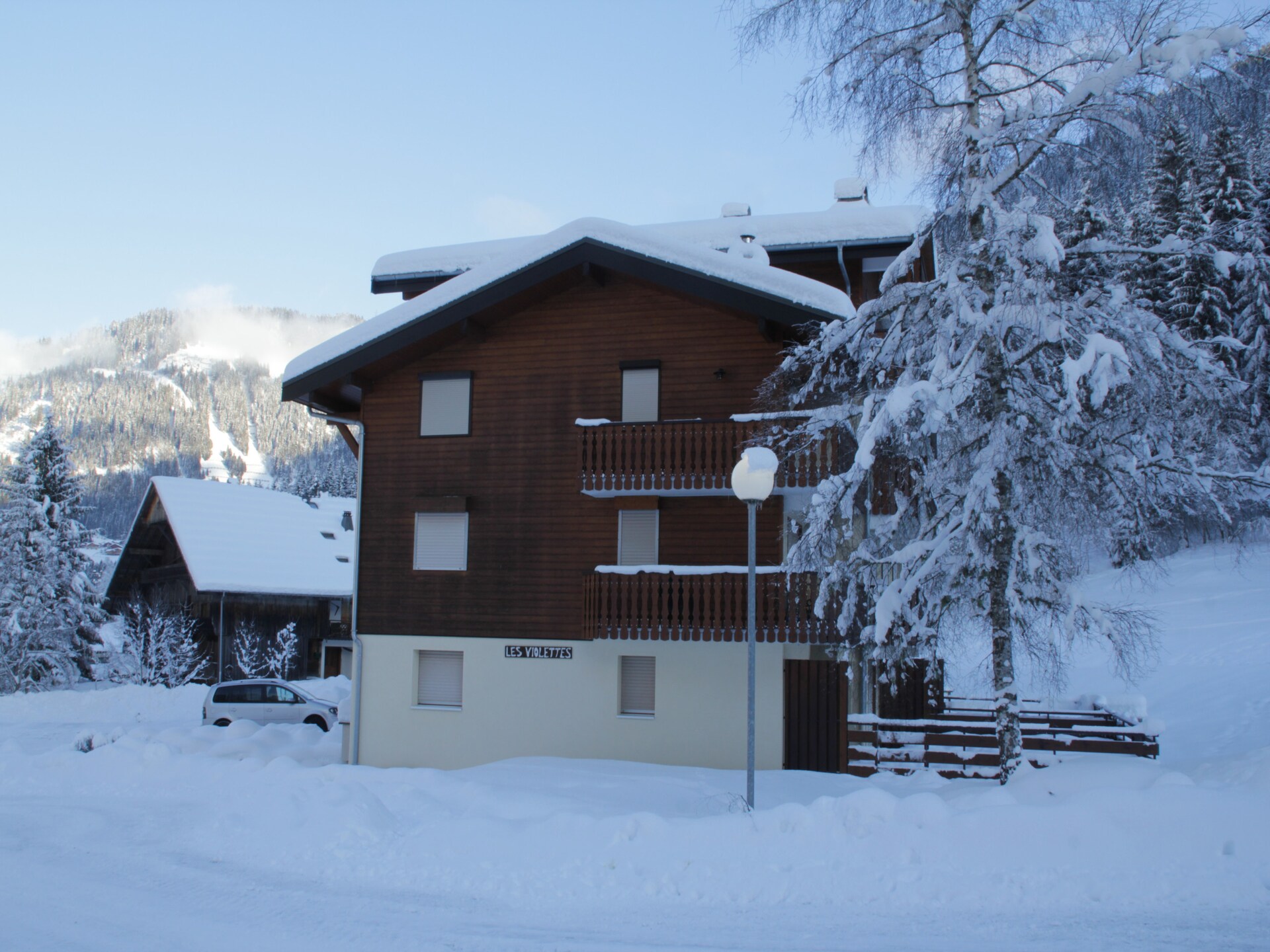 4-persoons appartement in Châtel op 300m van de piste · 4 pers. - foto 17