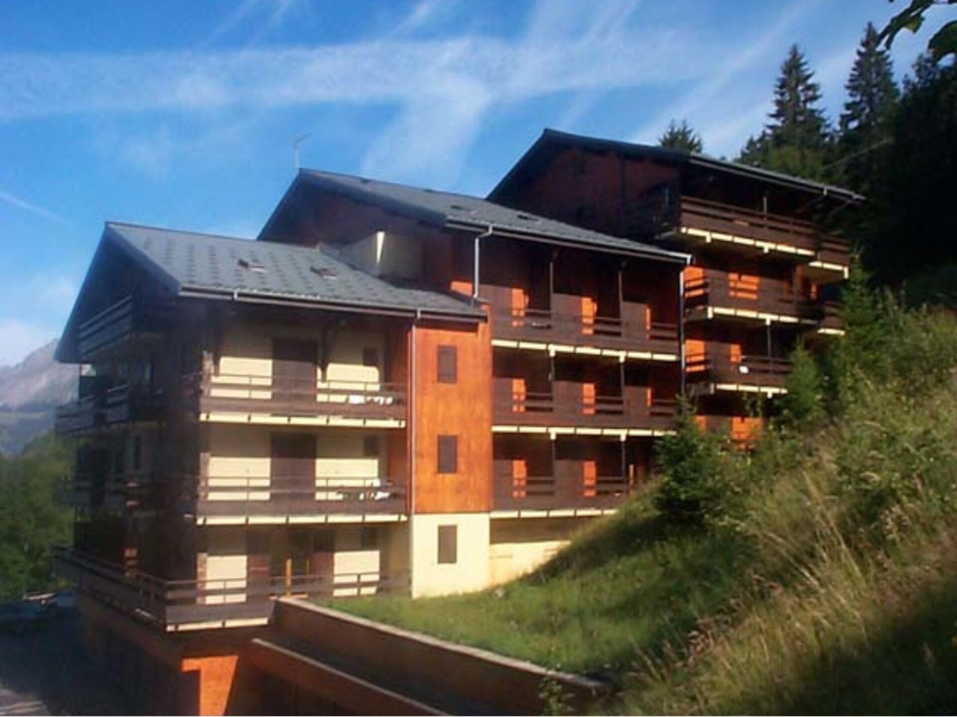 Yéti YT17B6: Gezellig appartement in Châtel, 300m van de skilift - foto 17