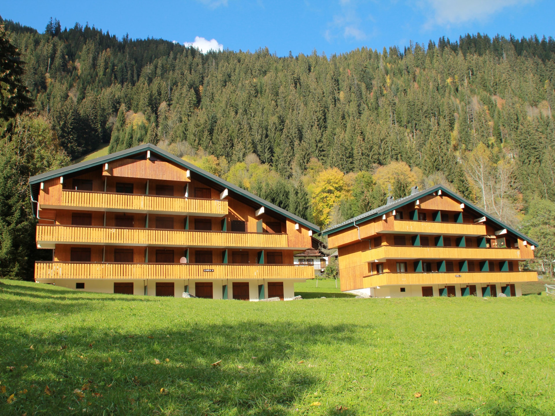 Knus appartement voor 4 aan de voet van de Linga-kabelbaan in Châtel - foto 19
