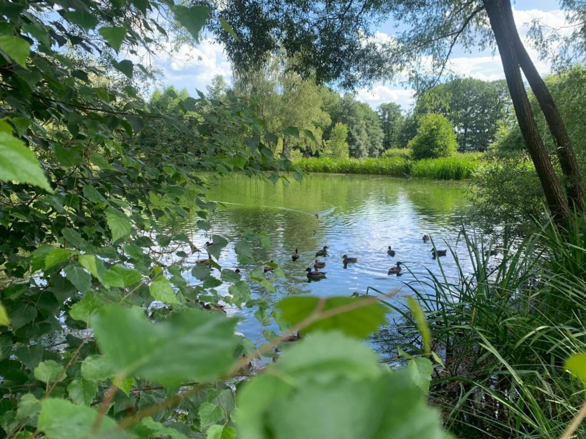 Appartement direct aan het meer in Güntersberge – 4 personen, 2 slaapkamers - foto 15