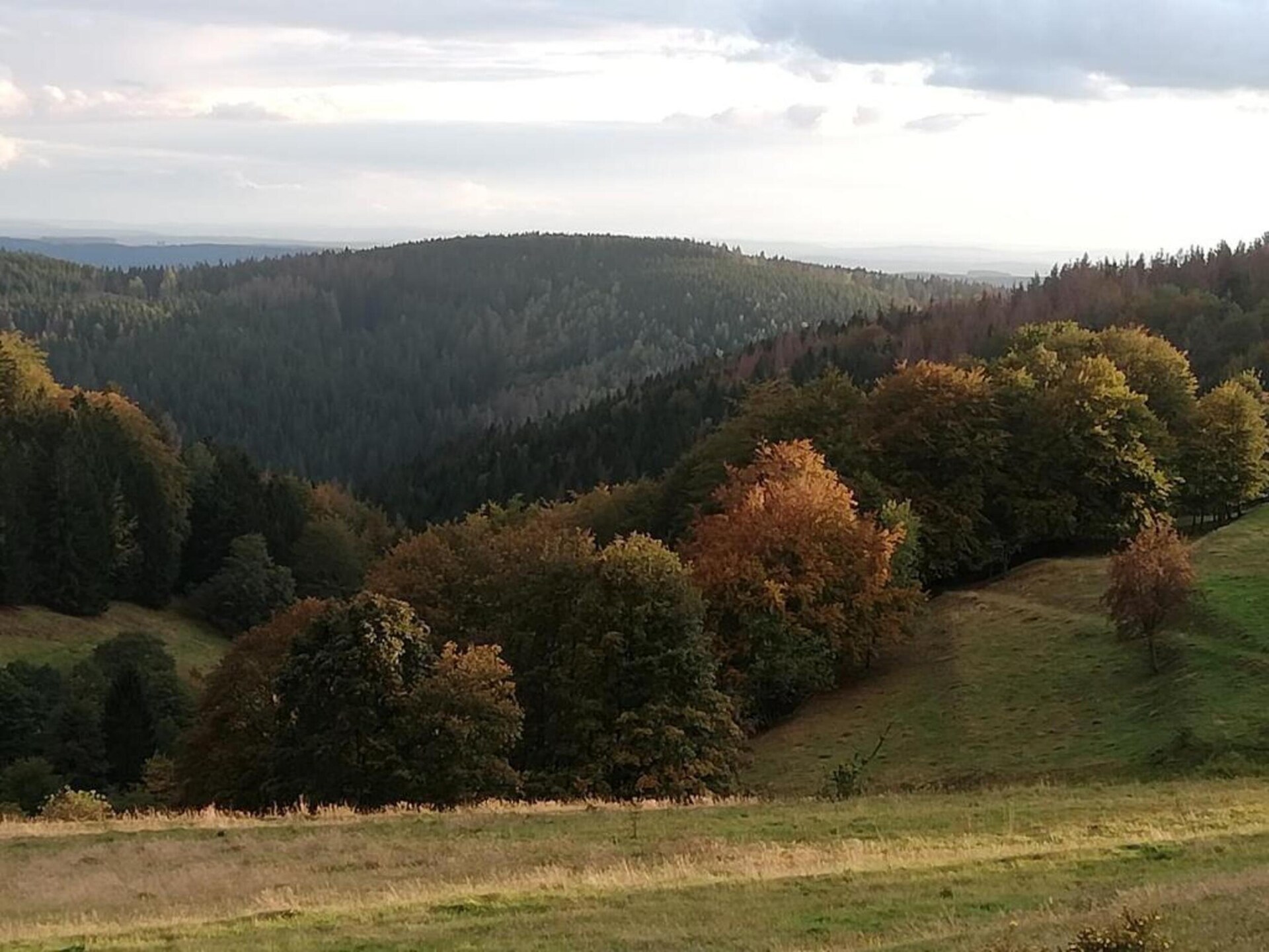 Rustiek appartement aan het meer in Güntersberge – direct bij bos en skilift - foto 20