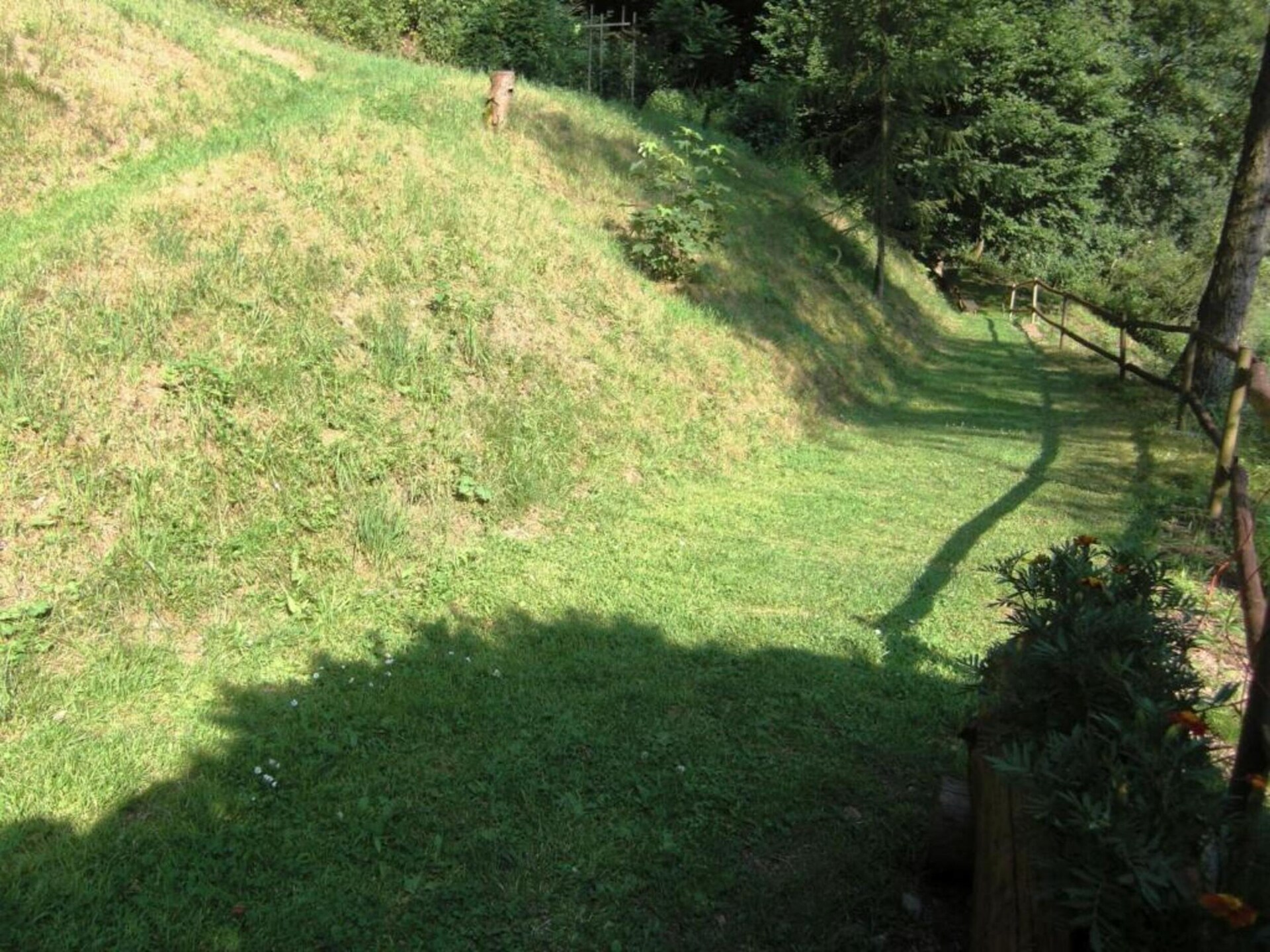 Altes Bootshaus 3: sfeervol appartement aan het meer in de Harz - foto 31