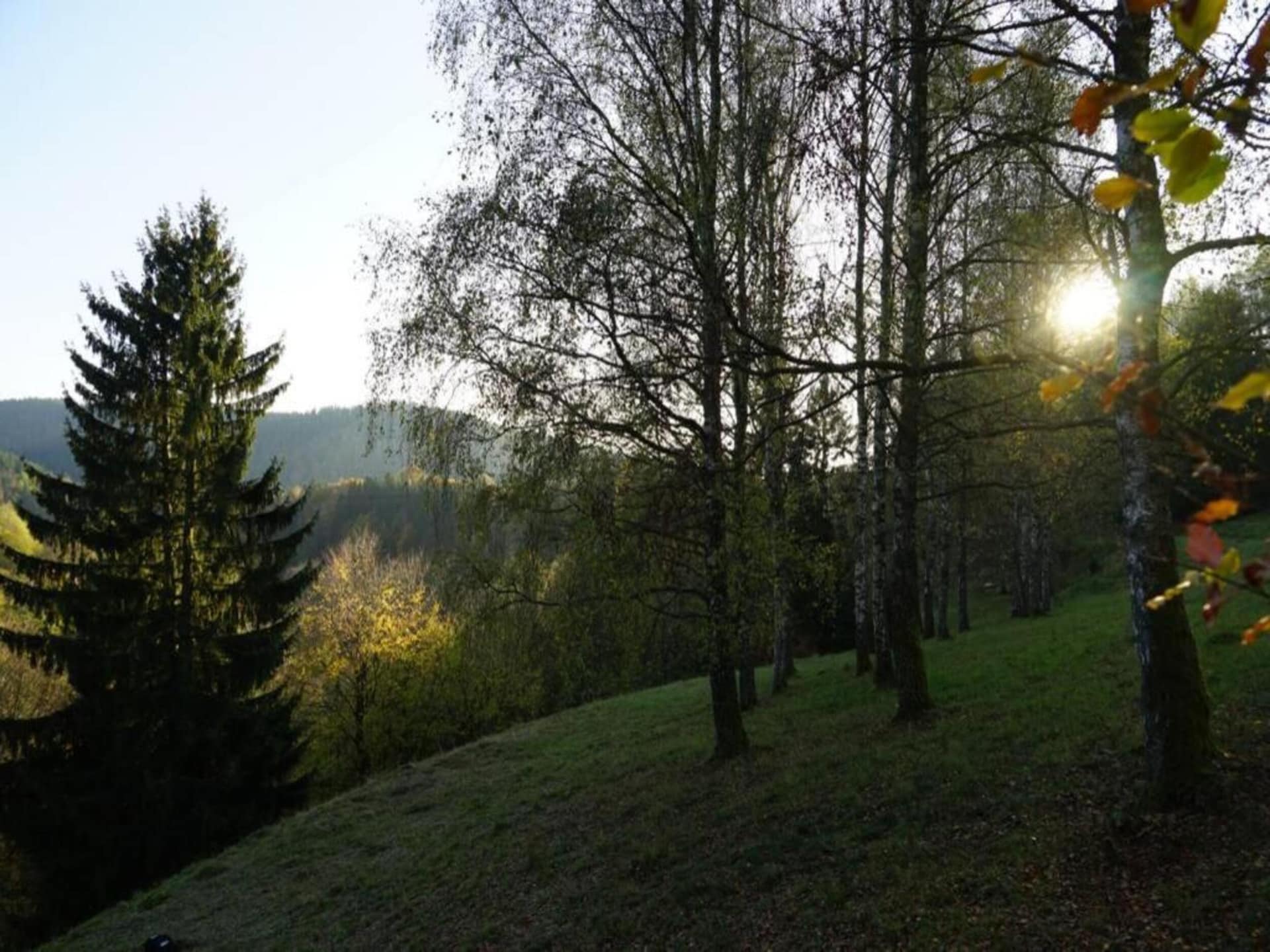Altes Bootshaus 3: sfeervol appartement aan het meer in de Harz - foto 33