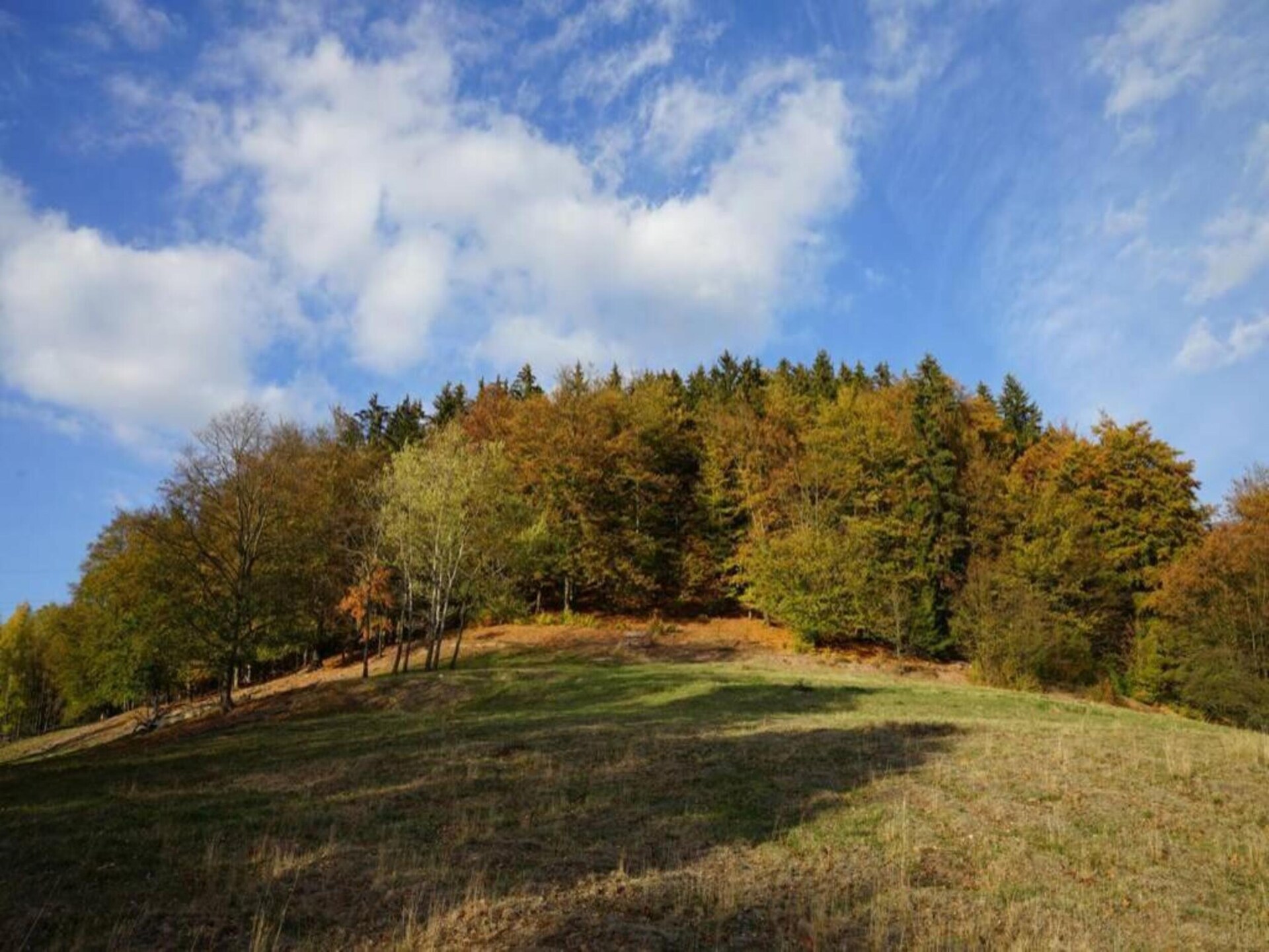 Altes Bootshaus 3: sfeervol appartement aan het meer in de Harz - foto 37