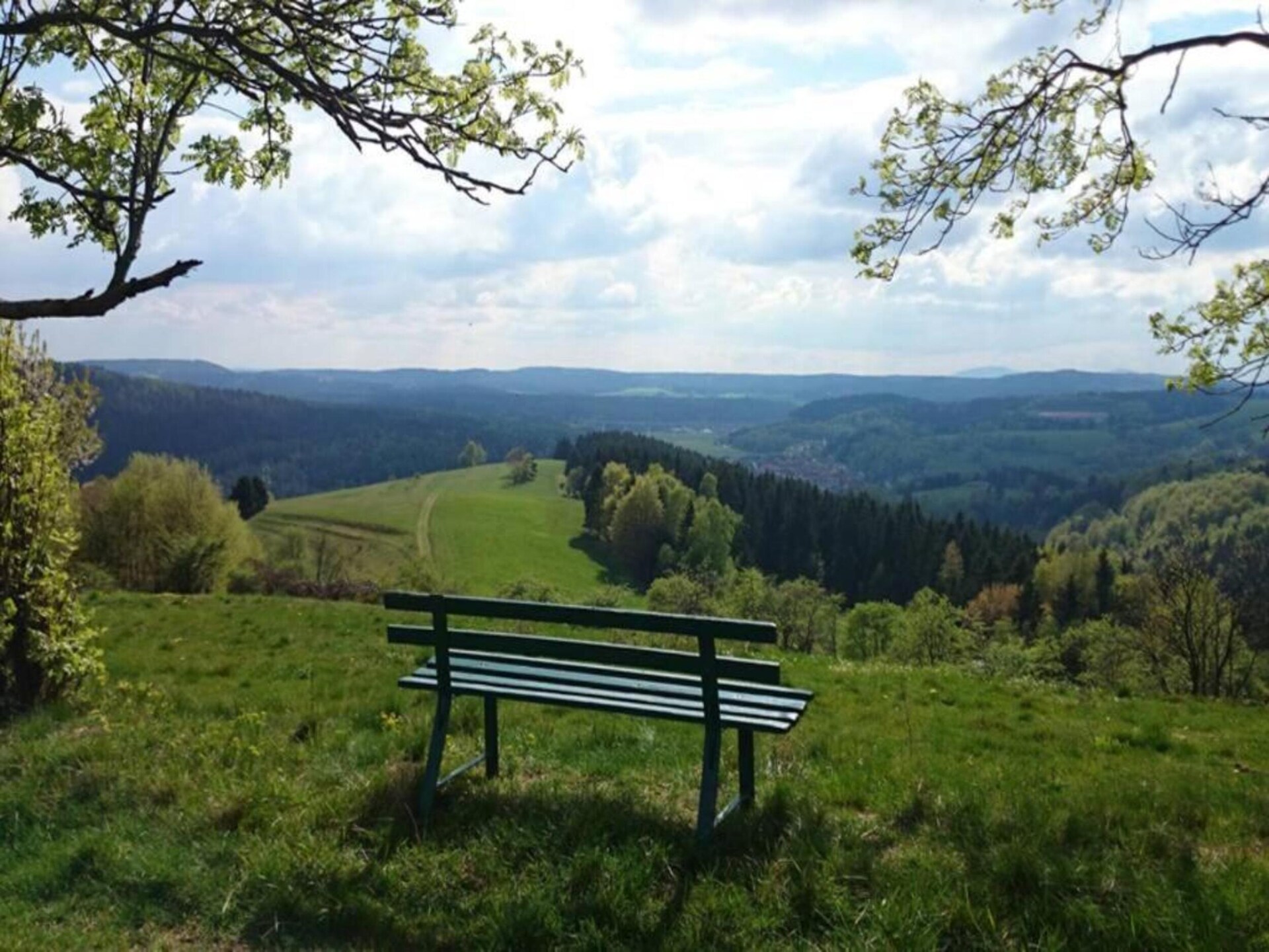 Altes Bootshaus 3: sfeervol appartement aan het meer in de Harz - foto 39