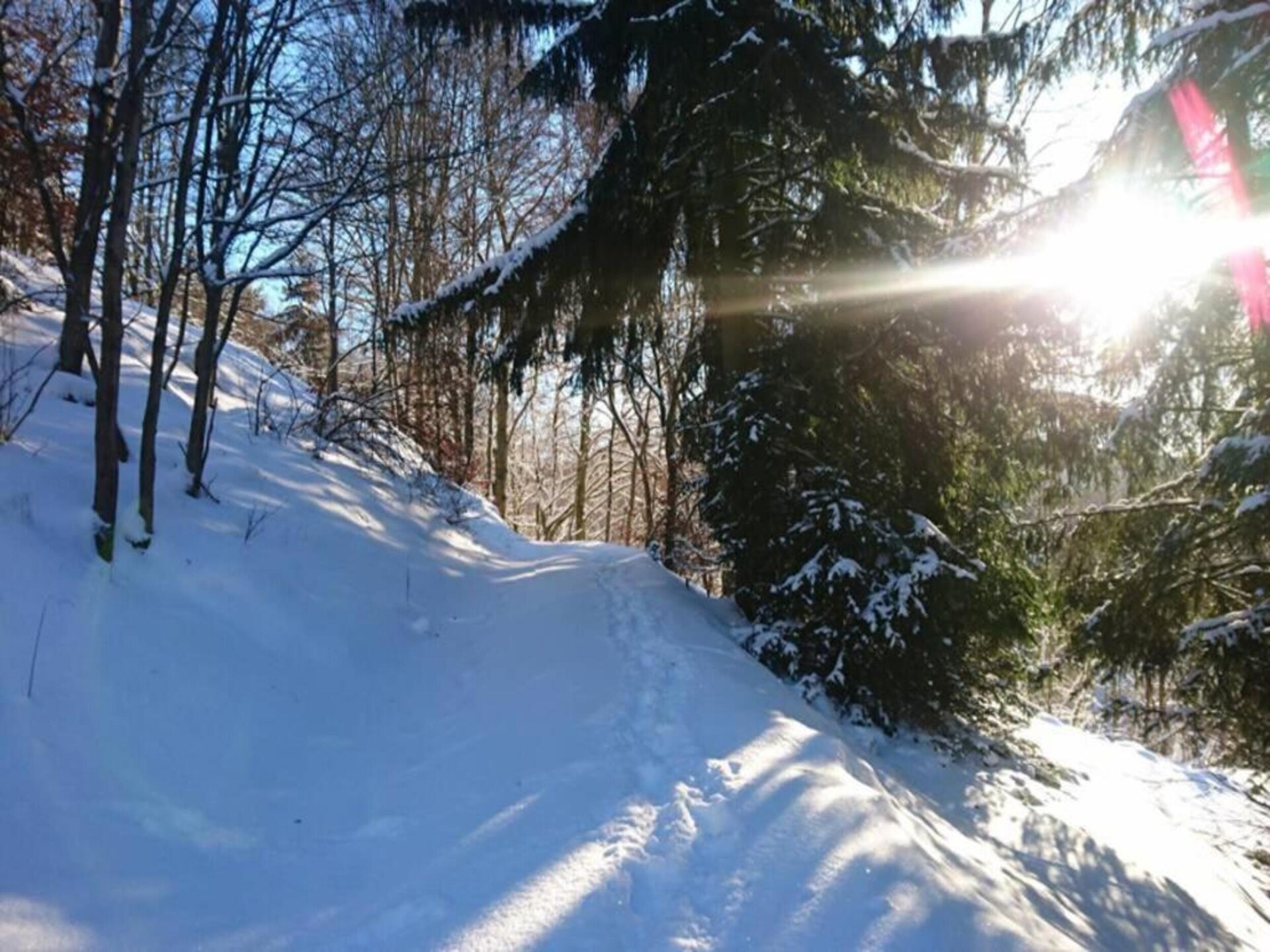 Altes Bootshaus 3: sfeervol appartement aan het meer in de Harz - foto 38