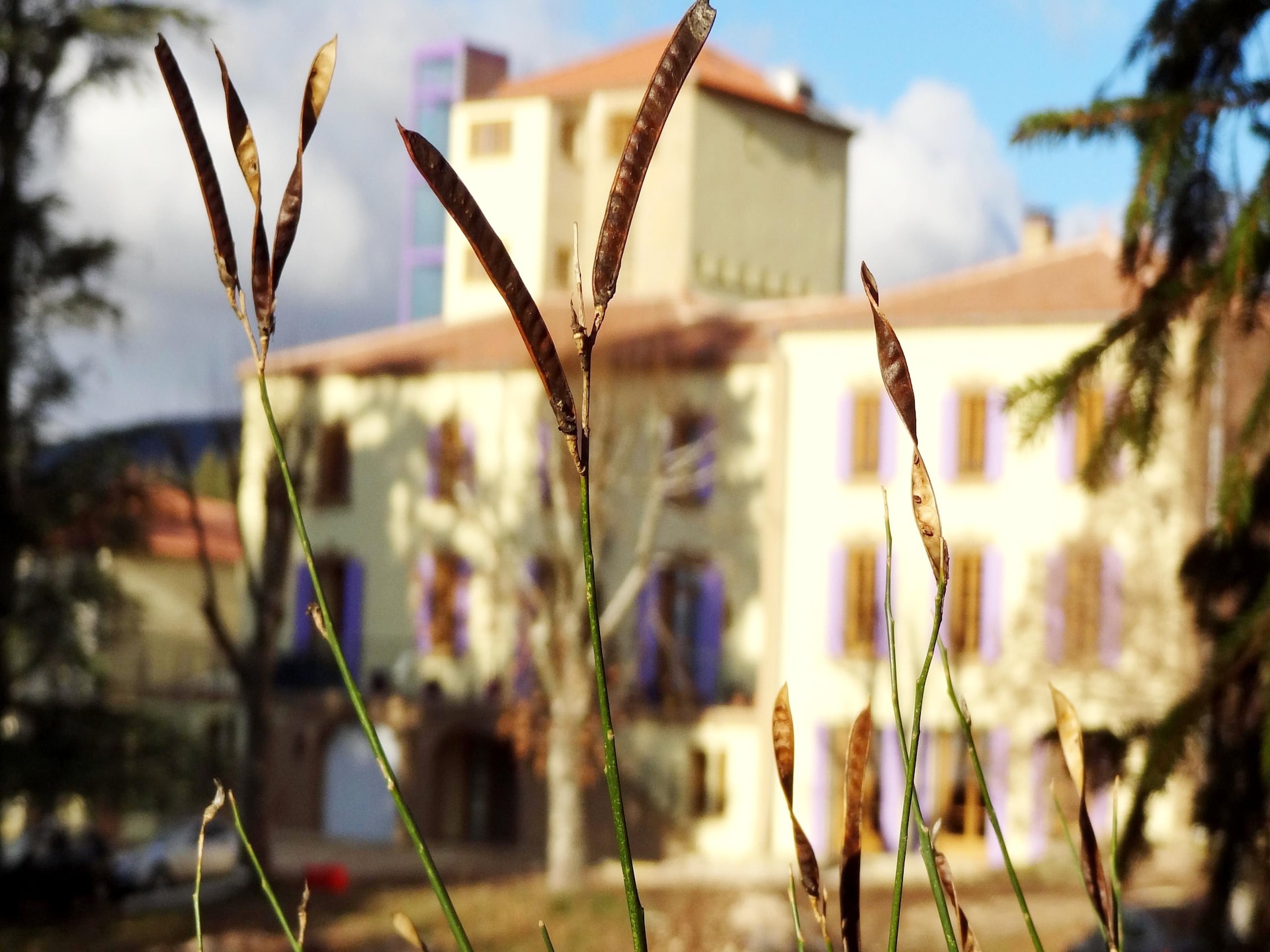 Knusse studio in Ferrassières met zwembad, sauna en uitzicht op de Provence - foto 41