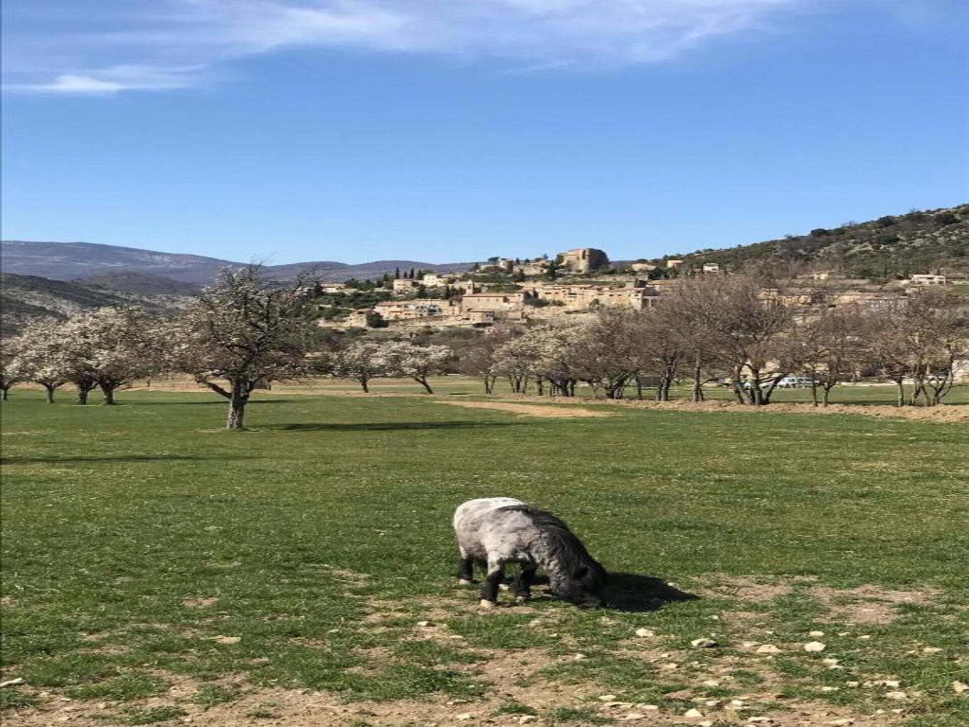 Knusse studio in Ferrassières met zwembad, sauna en uitzicht op de Provence - foto 32