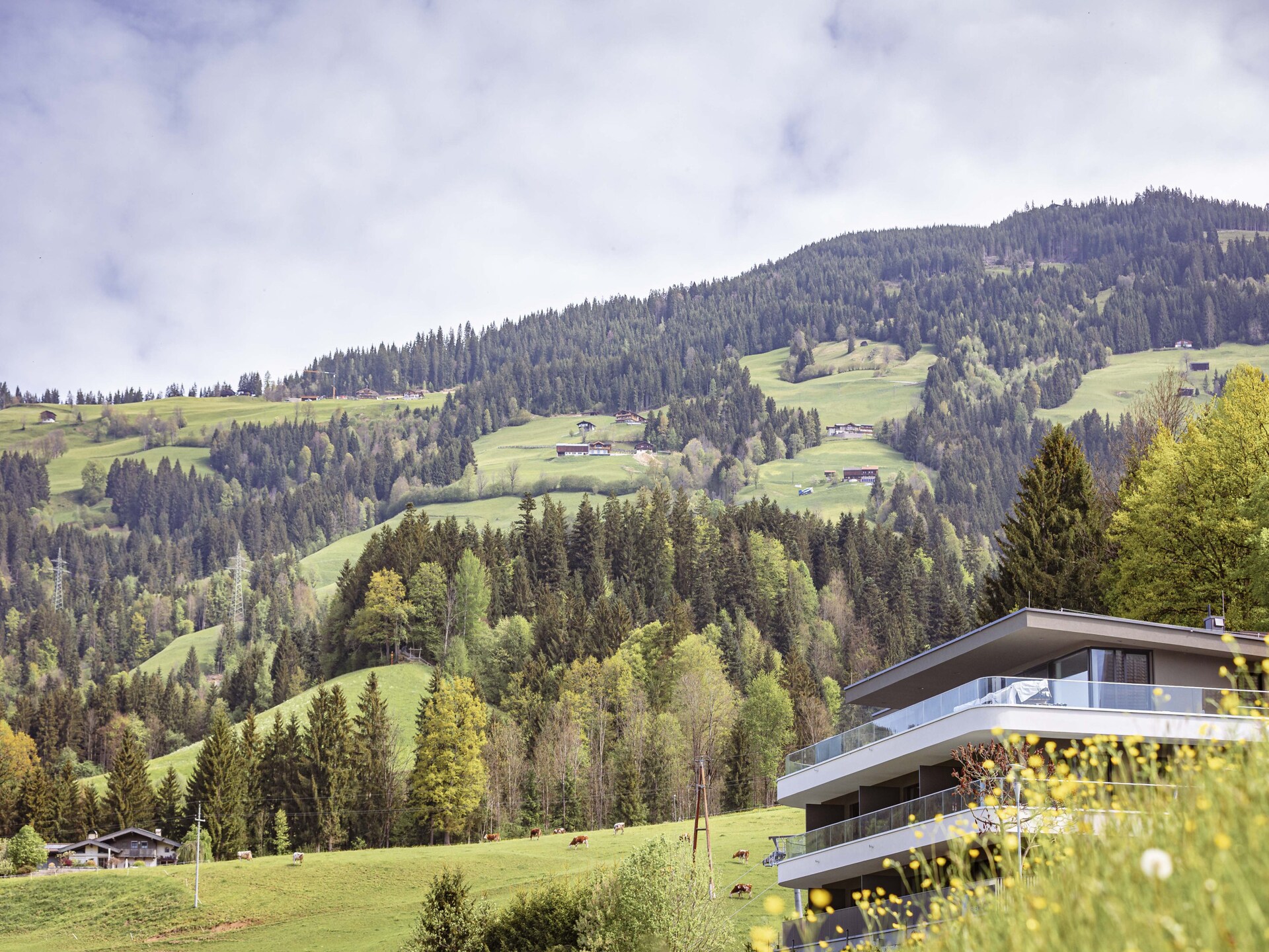 Brixental Suites 2: Luxe ski-in/ski-out appartement aan de piste in Hopfgarten - foto 13