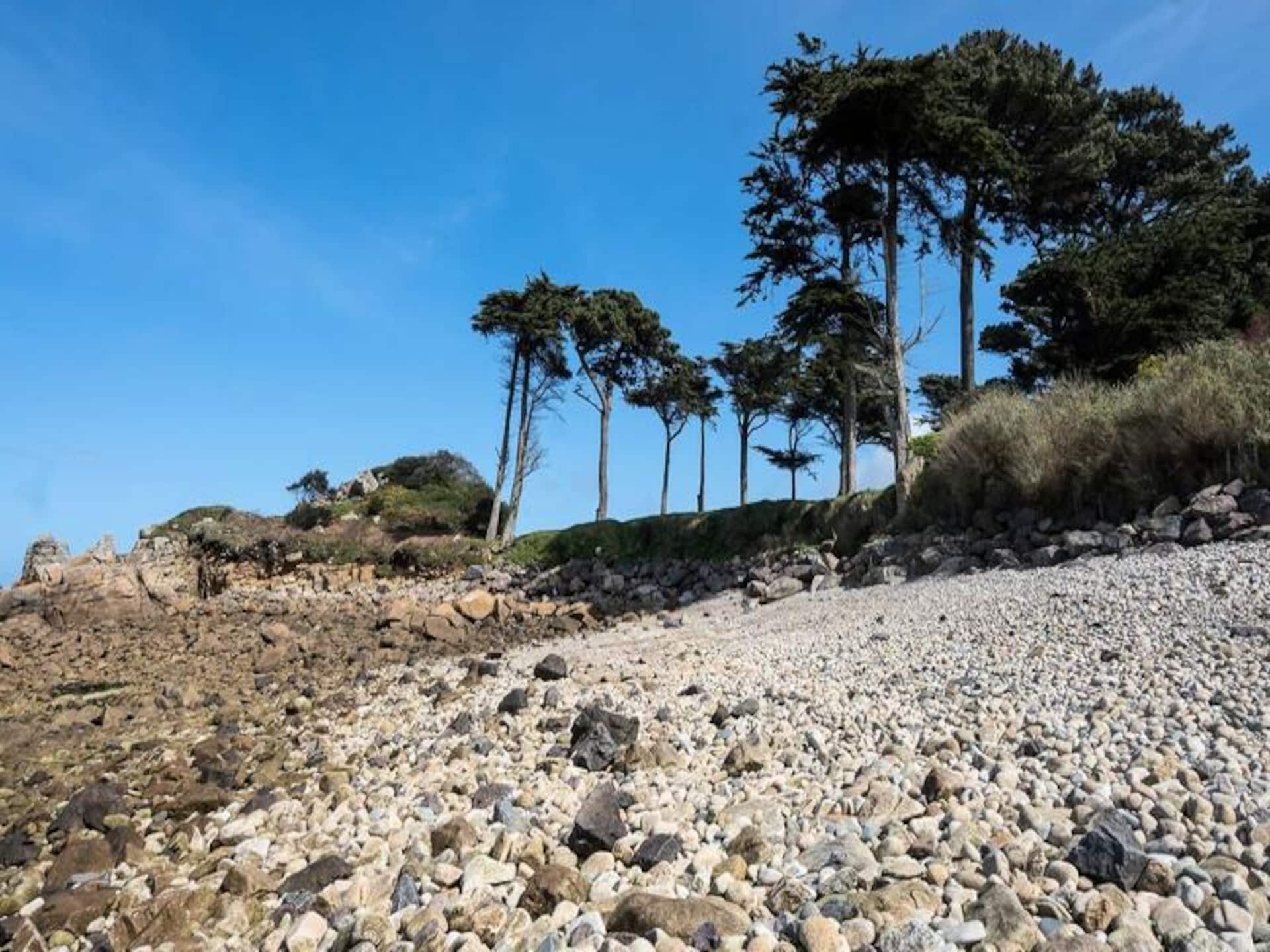 Vakantiehuis direct aan zee in Penvénan, op 2 minuten van het strand - foto 20