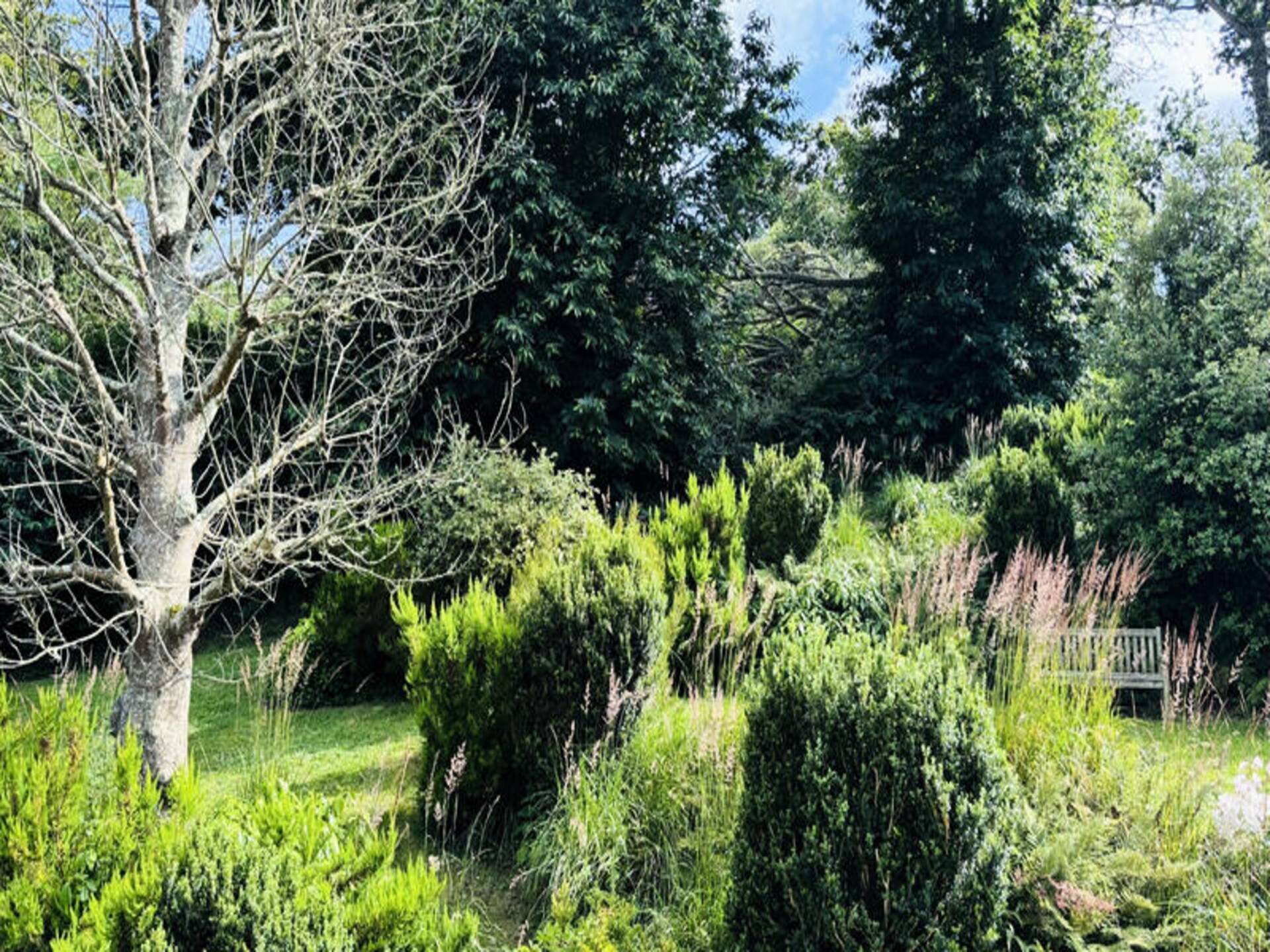 Vrijstaand Bretons vakantiehuis nabij zee en roze granietkust voor 5 personen - foto 15