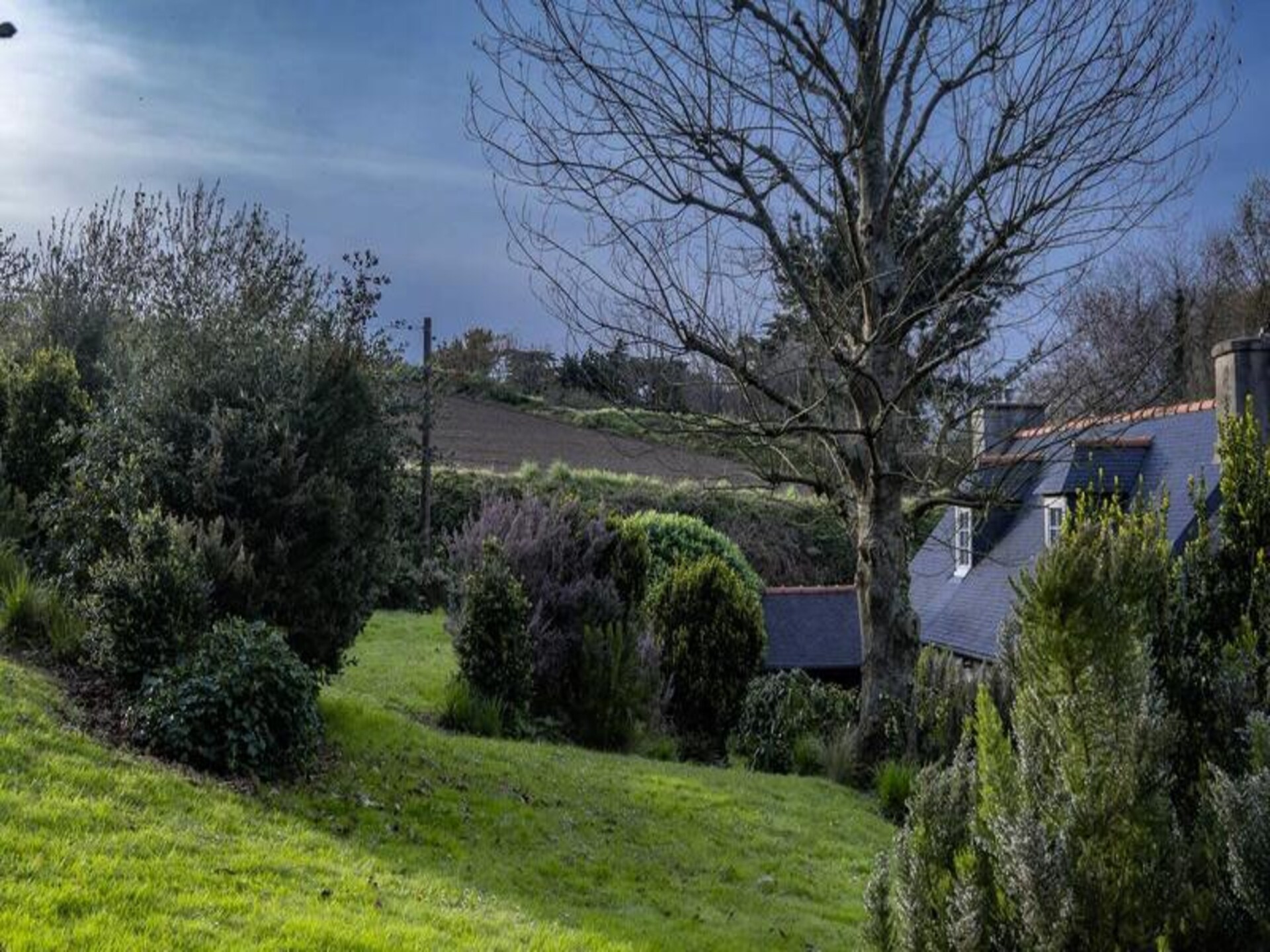 Vrijstaand Bretons vakantiehuis nabij zee en roze granietkust voor 5 personen - foto 17