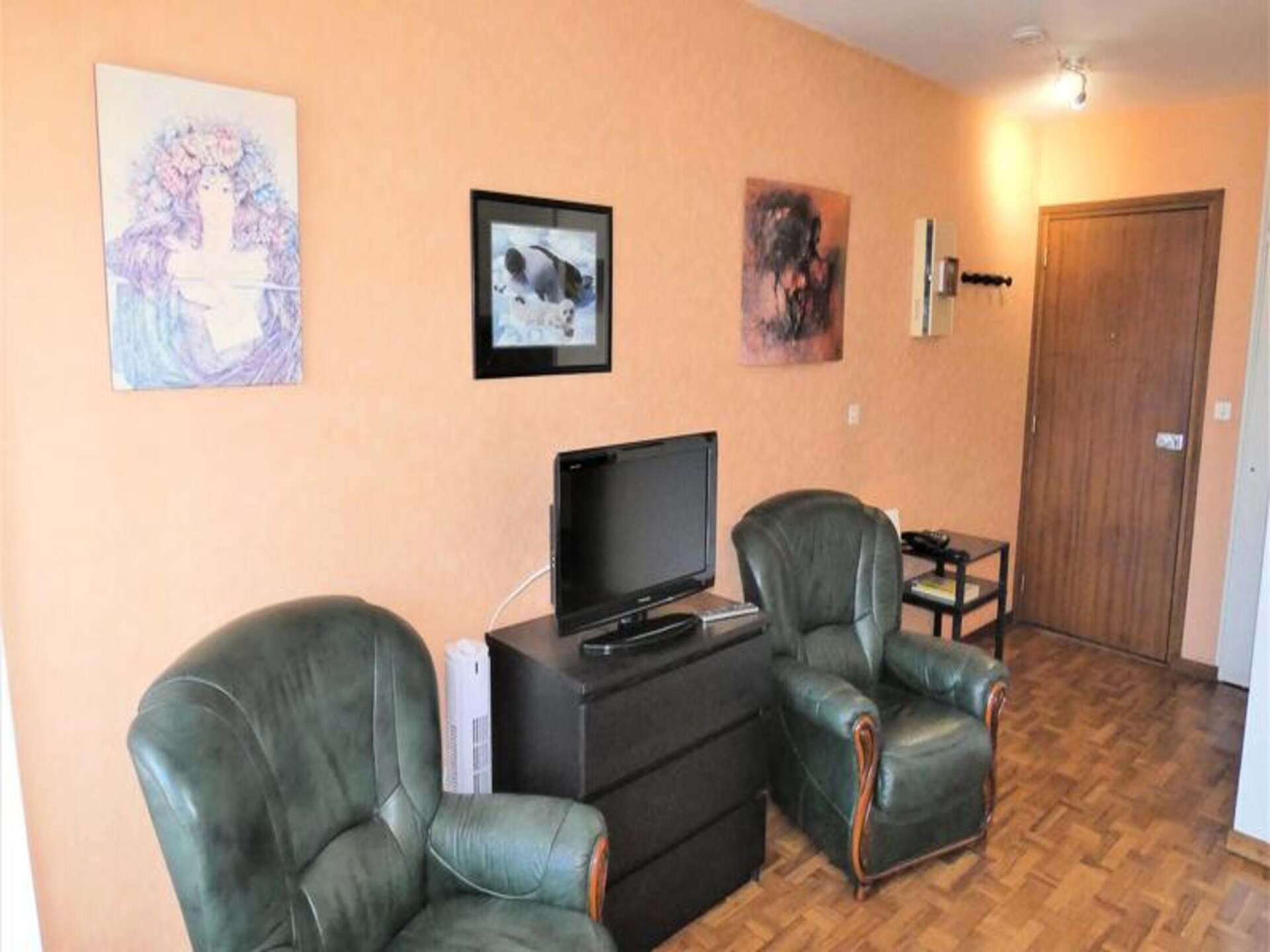 Studio met panoramisch uitzicht in hartje Aix-les-Bains - foto 12