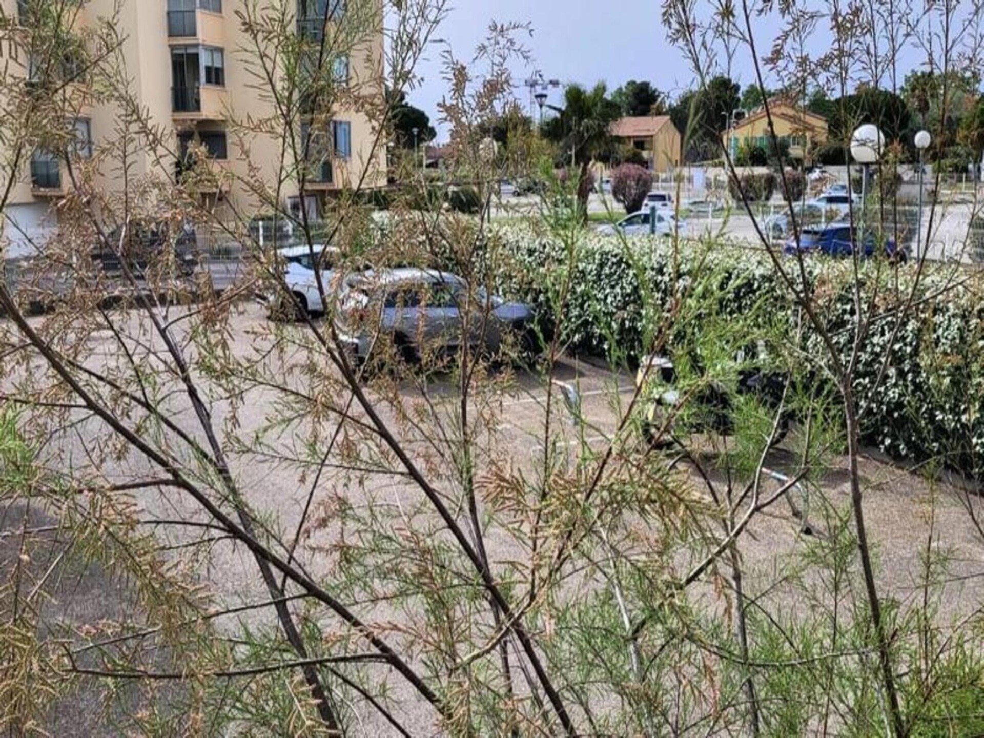Knus appartement in Le Grau du Roi, op 100 meter van strand en centrum - foto 21