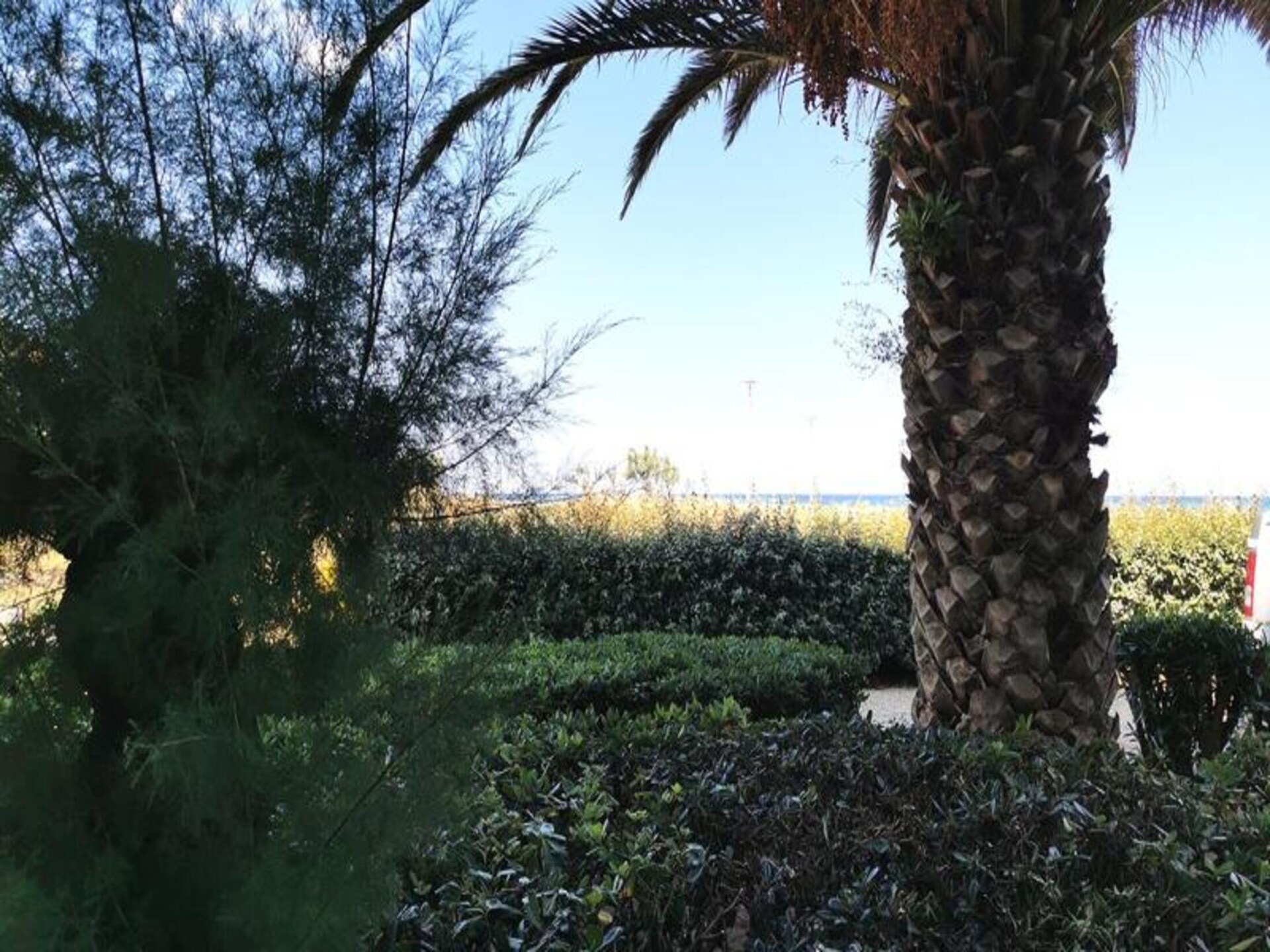 Studio met zeezicht op 30m van strand in Leucate, Frankrijk - foto 8