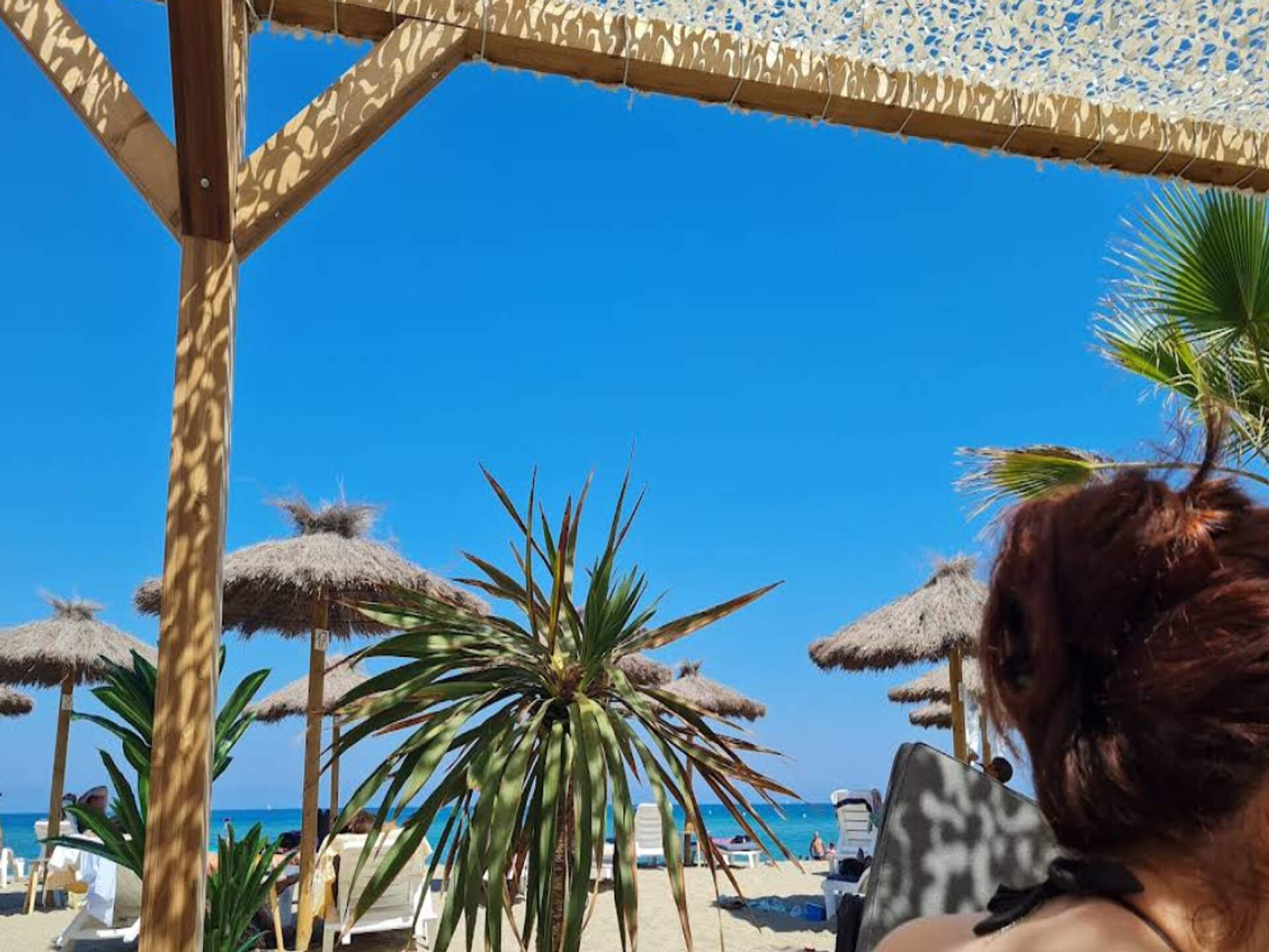 Appartement op 50 meter van het strand in Leucate voor 6 personen - foto 35