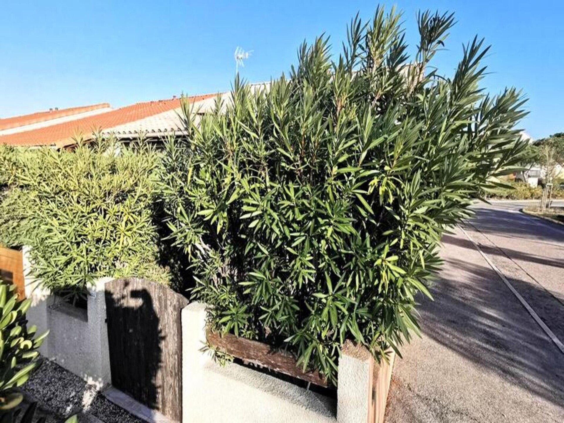 Zongerichte mezzanine-appartement op 250m van strand in Leucate - foto 7