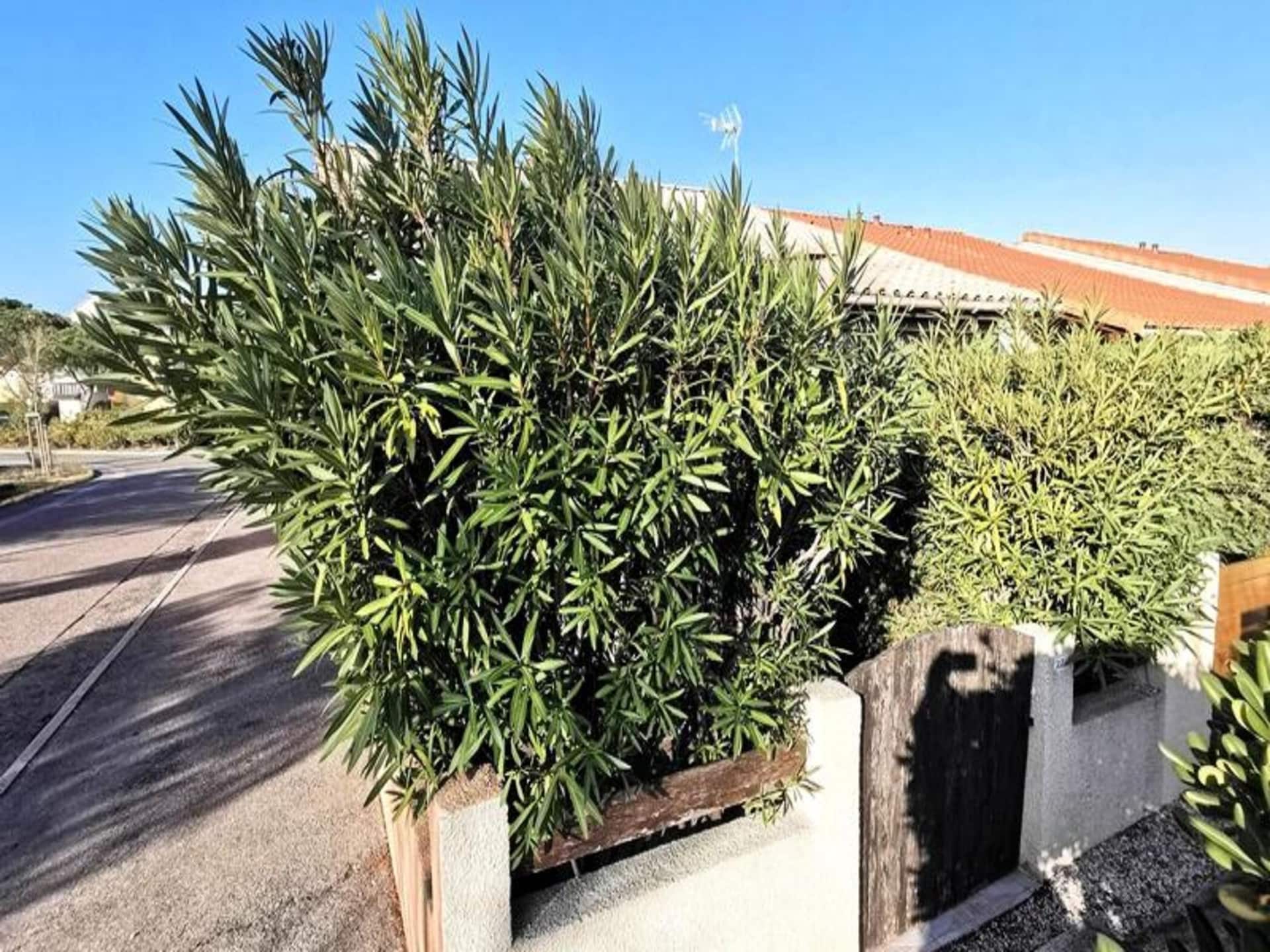 Zongerichte mezzanine-appartement op 250m van strand in Leucate - foto 9