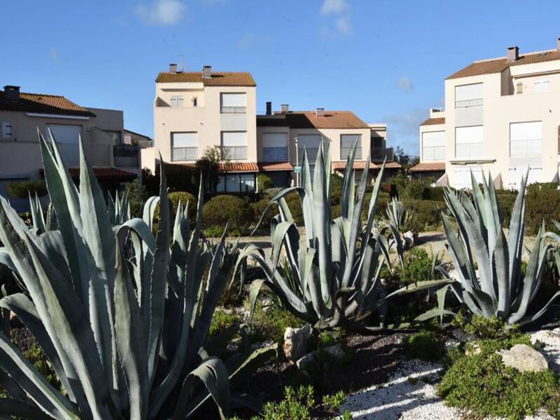 Licht appartement op 100m van strand in Leucate, voor 4 personen - foto 22