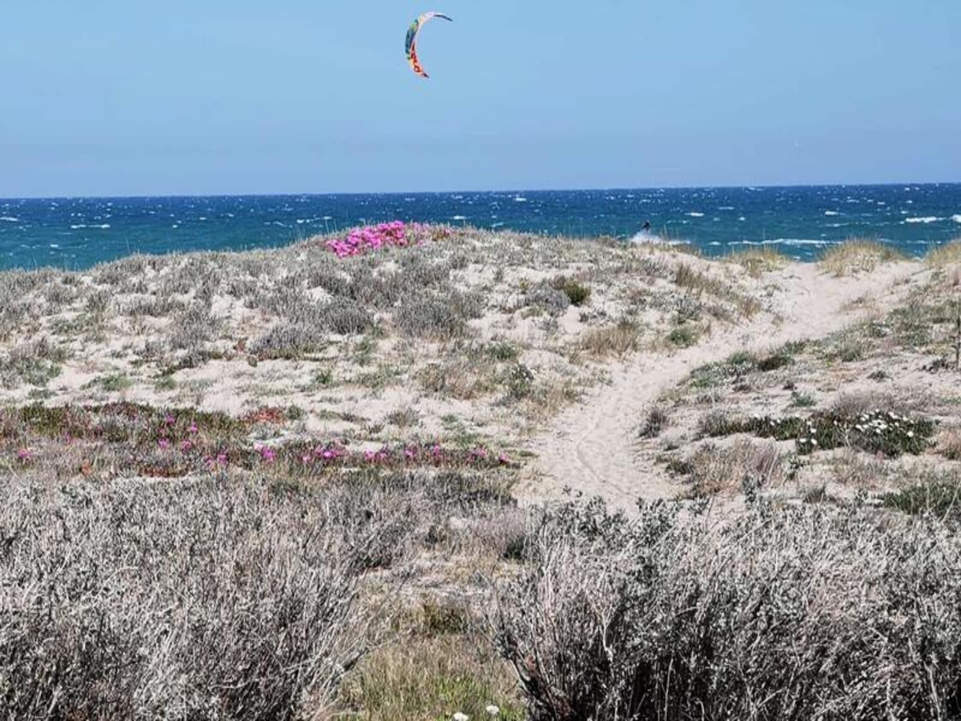 Appartement aan zee in Leucate met adembenemend uitzicht op de Middellandse Zee - foto 6