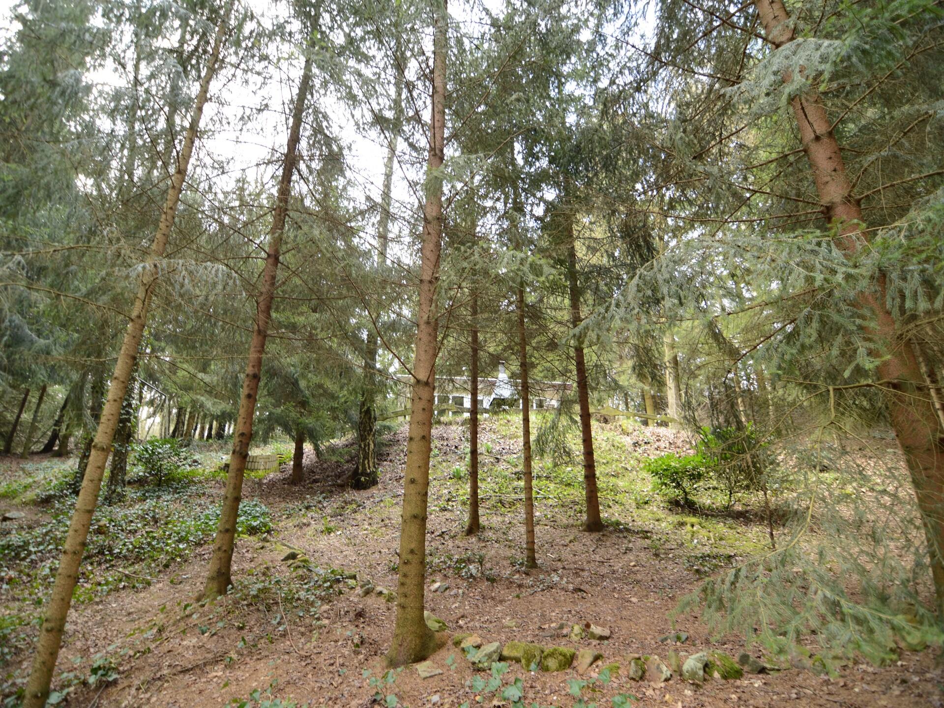 4-persoons chalet met omheinde tuin in Lanklaar - foto 16
