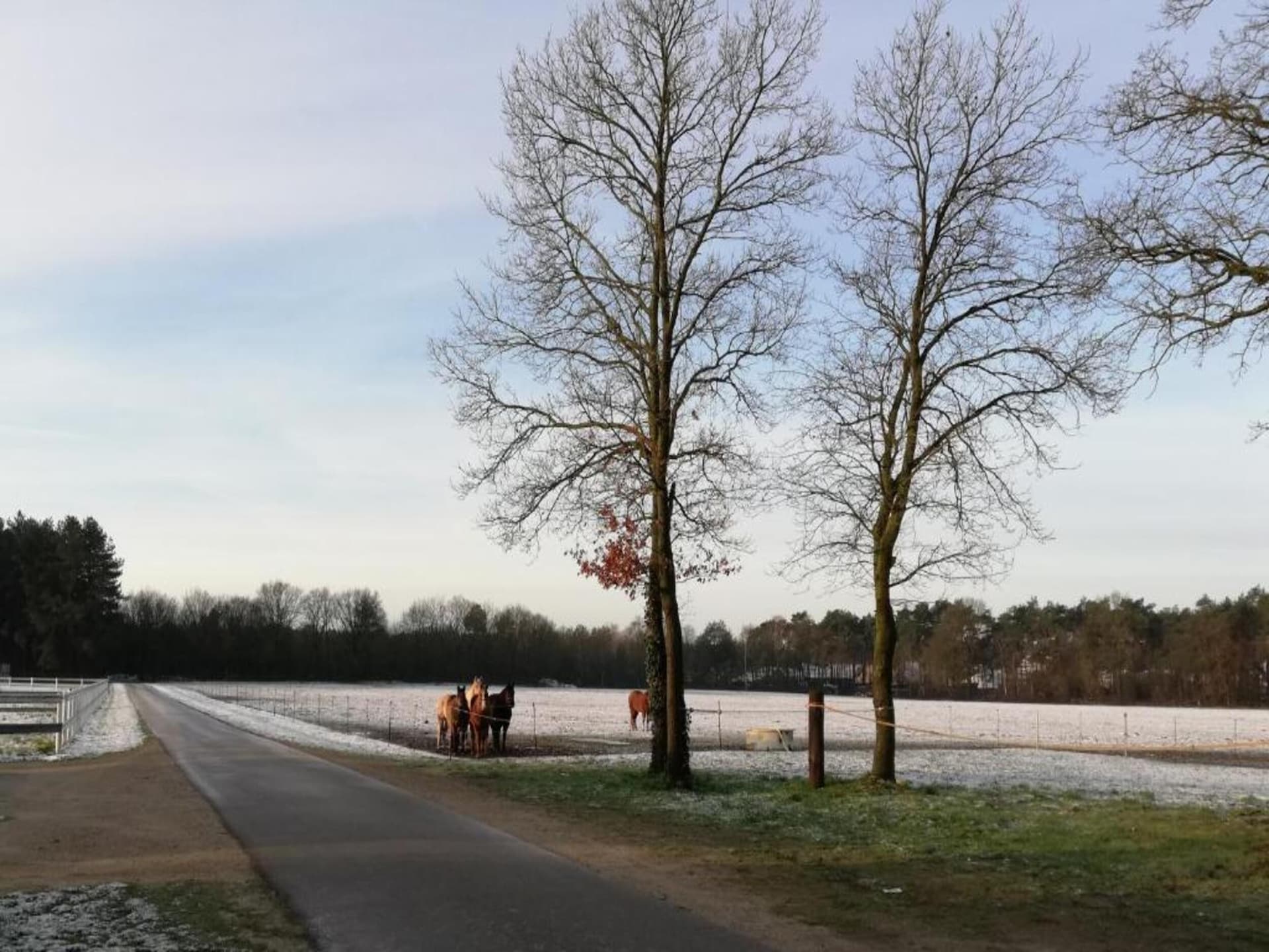 4-persoons chalet met omheinde tuin in Lanklaar - foto 39